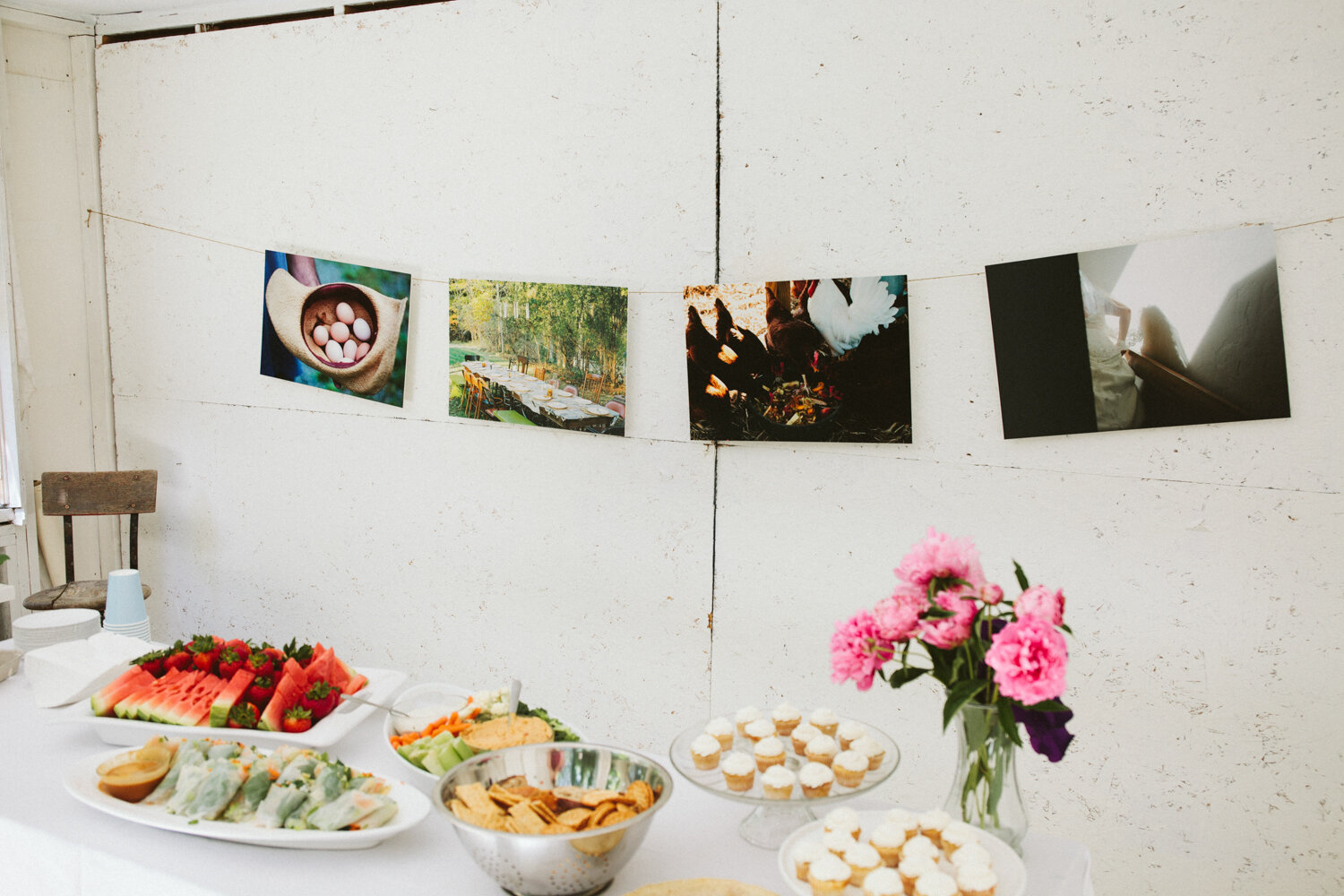 VSCO_JudySchenk_small_-9745.jpg