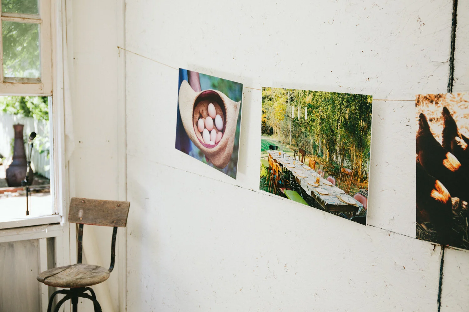 VSCO_JudySchenk_small_-9750.jpg