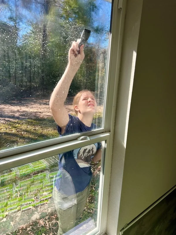 A boy cleaning a window with a squeegee from inside a house, using a sunny outdoor area with trees in the background.