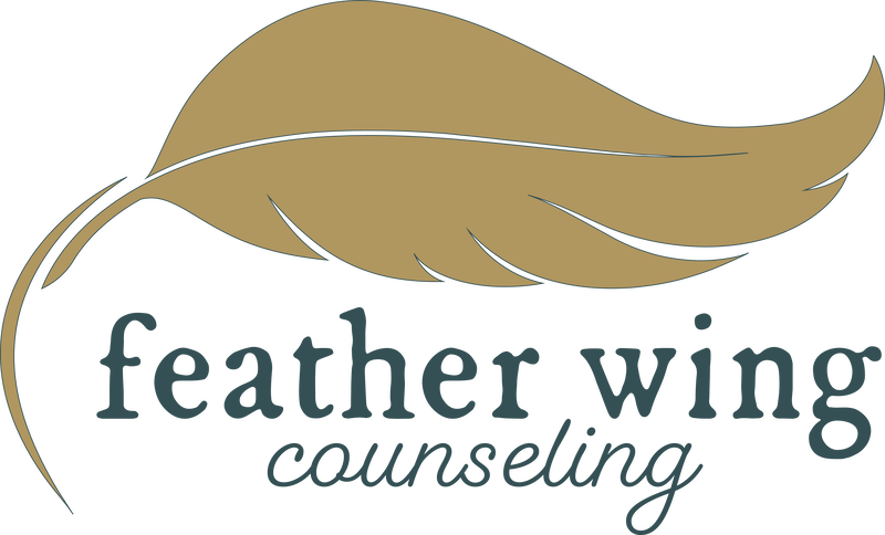 Logo featuring a stylized brown feather with the text 'feather wing counseling' underneath.
