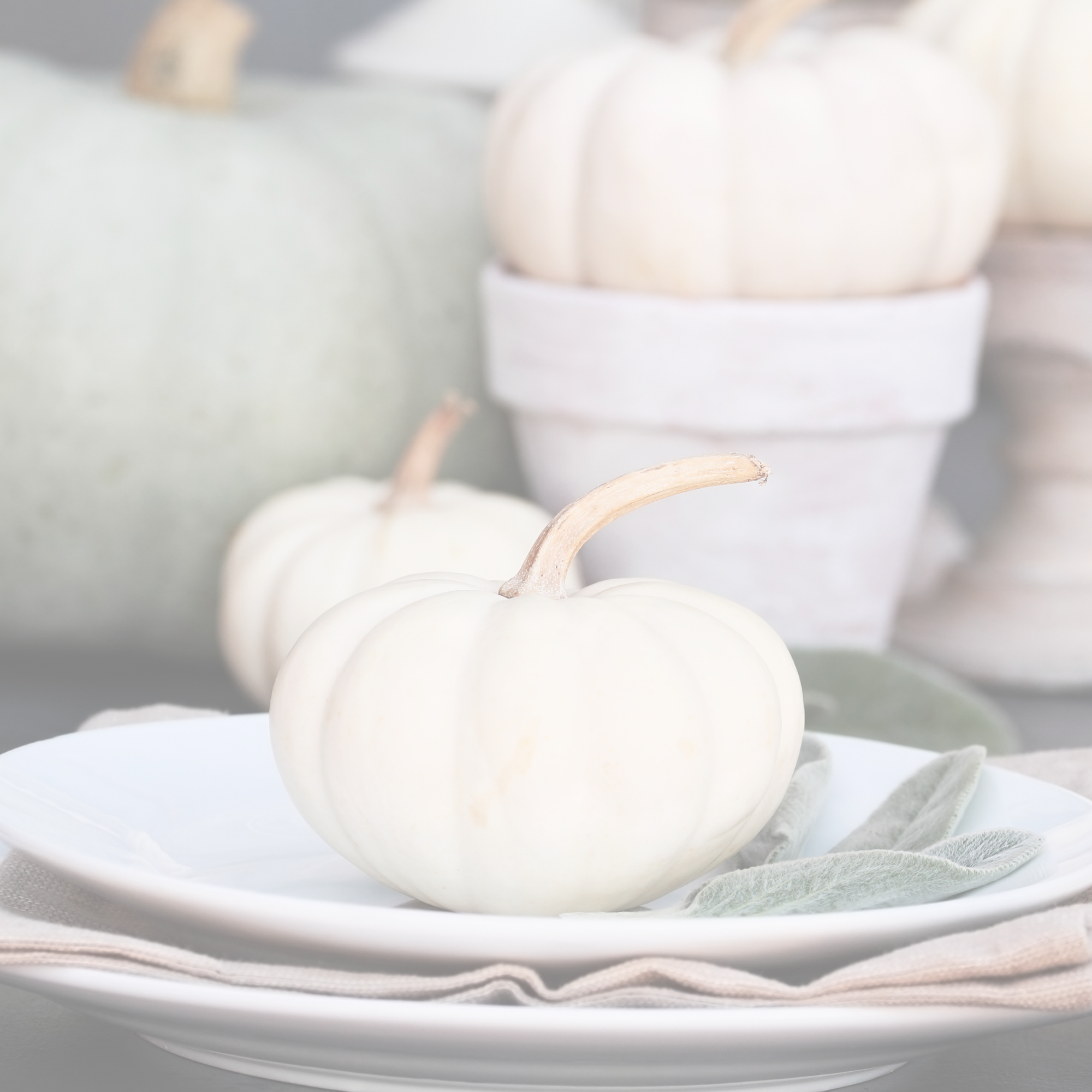 Everything But The Turkey — Woods Hill