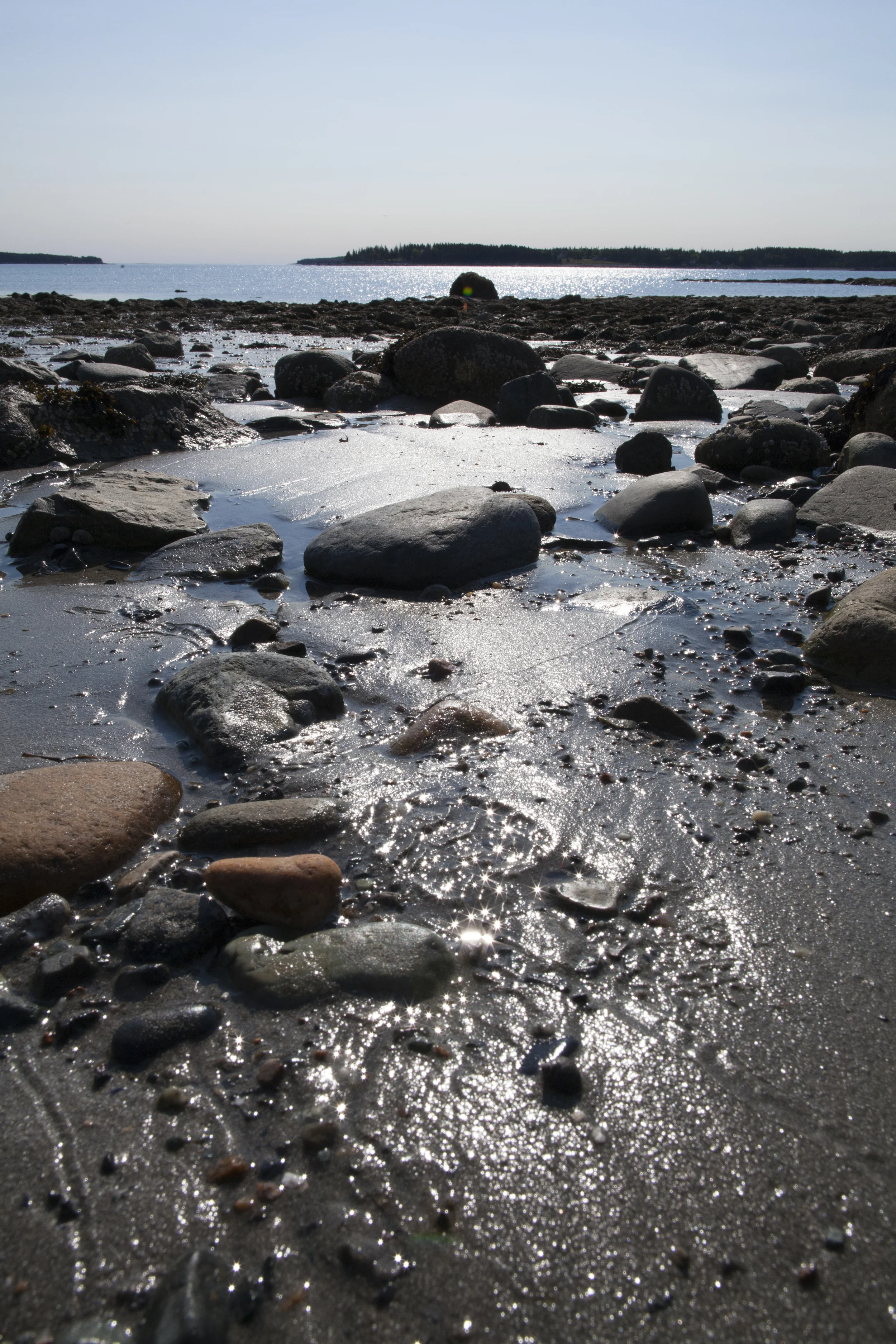 Summer in Southwest Harbor, ME