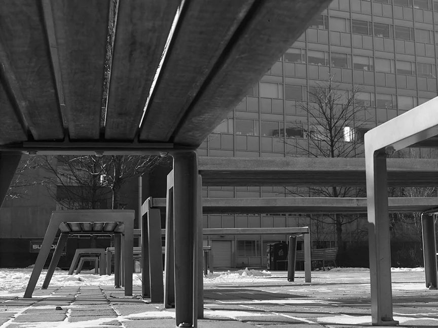 A squirrel's eye view of MIT