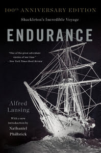 Endurance1.jpg