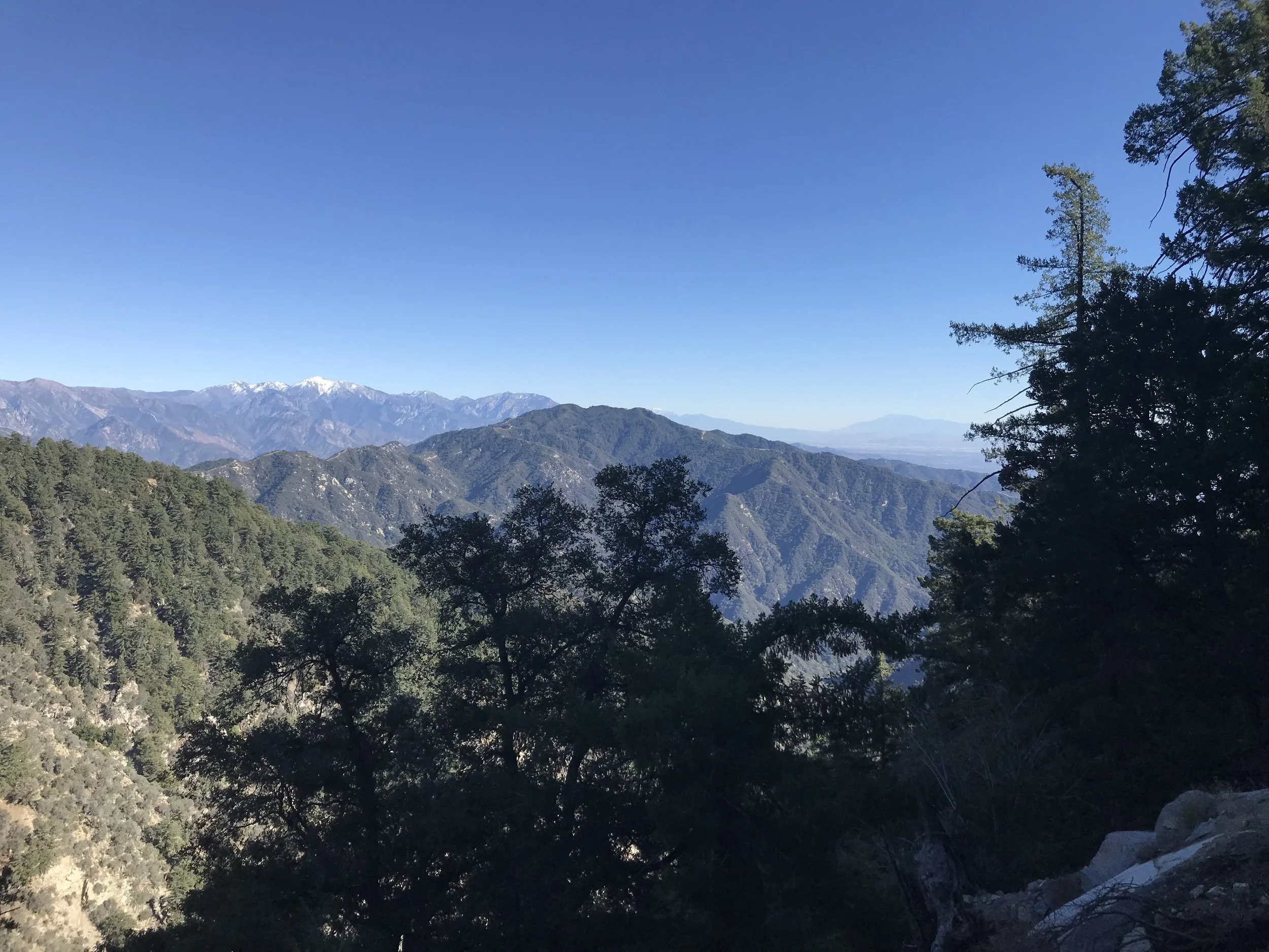 IMG_1796.jpeg
