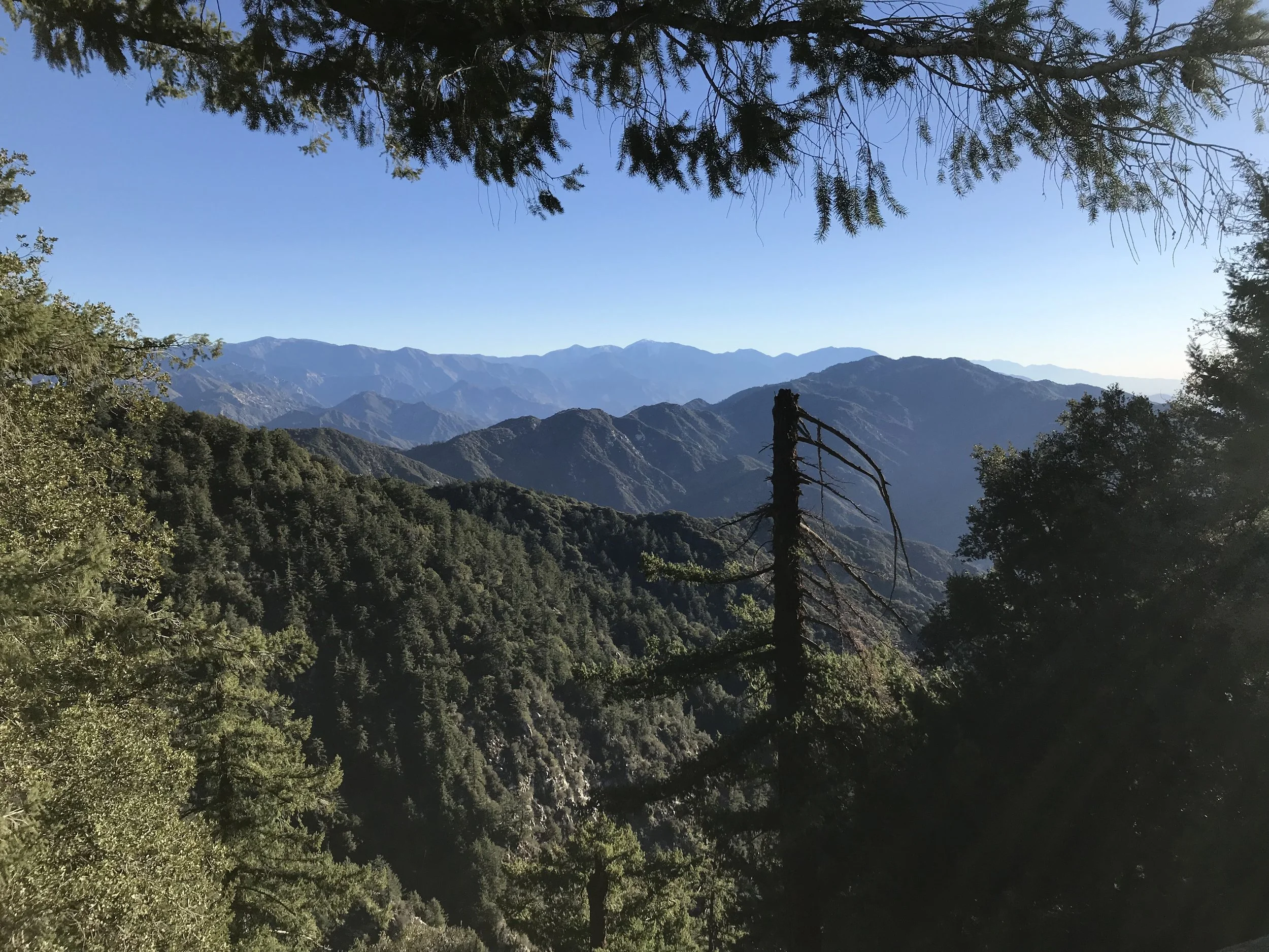 First steps towards a 100 (Mnt Wilson Double)