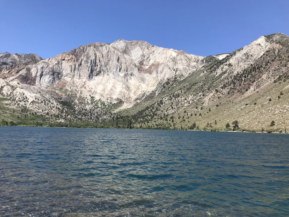 IMG_3868.jpeg