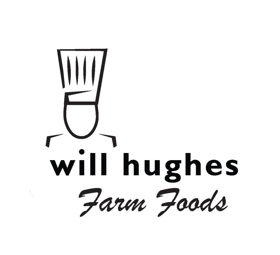 will+hughes+logo1.jpg