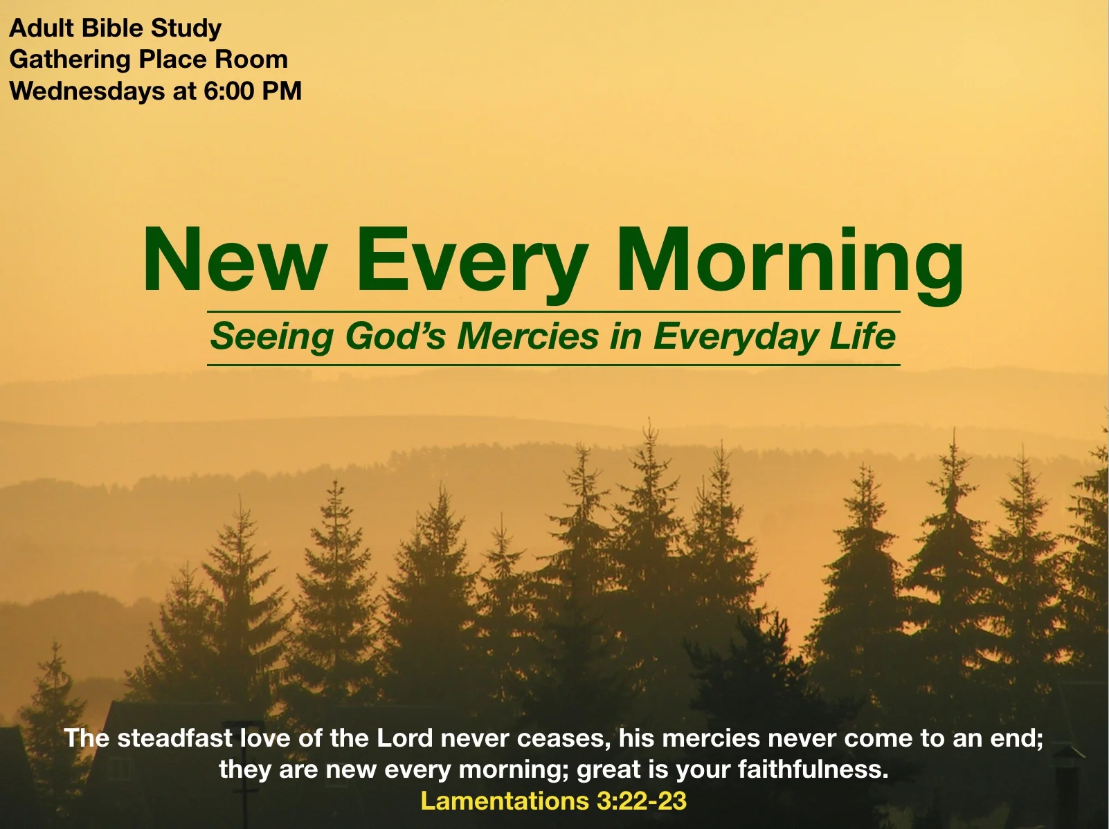 New Every Morning - Adult Bible Study Fall 2019.jpeg