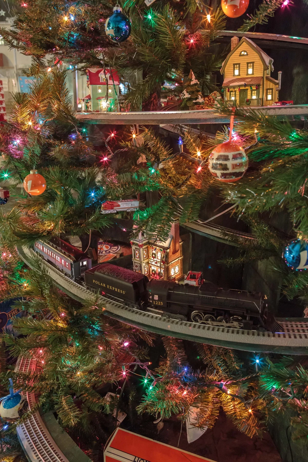 2014-12.05 train tree-_l7a9654.jpg