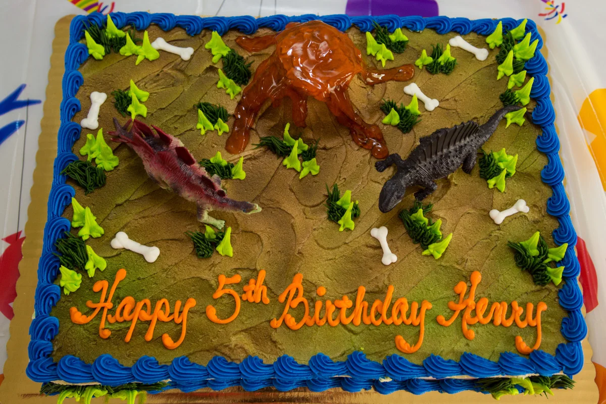export - 2015 henry's 5th birthday-_l7a2149.jpg