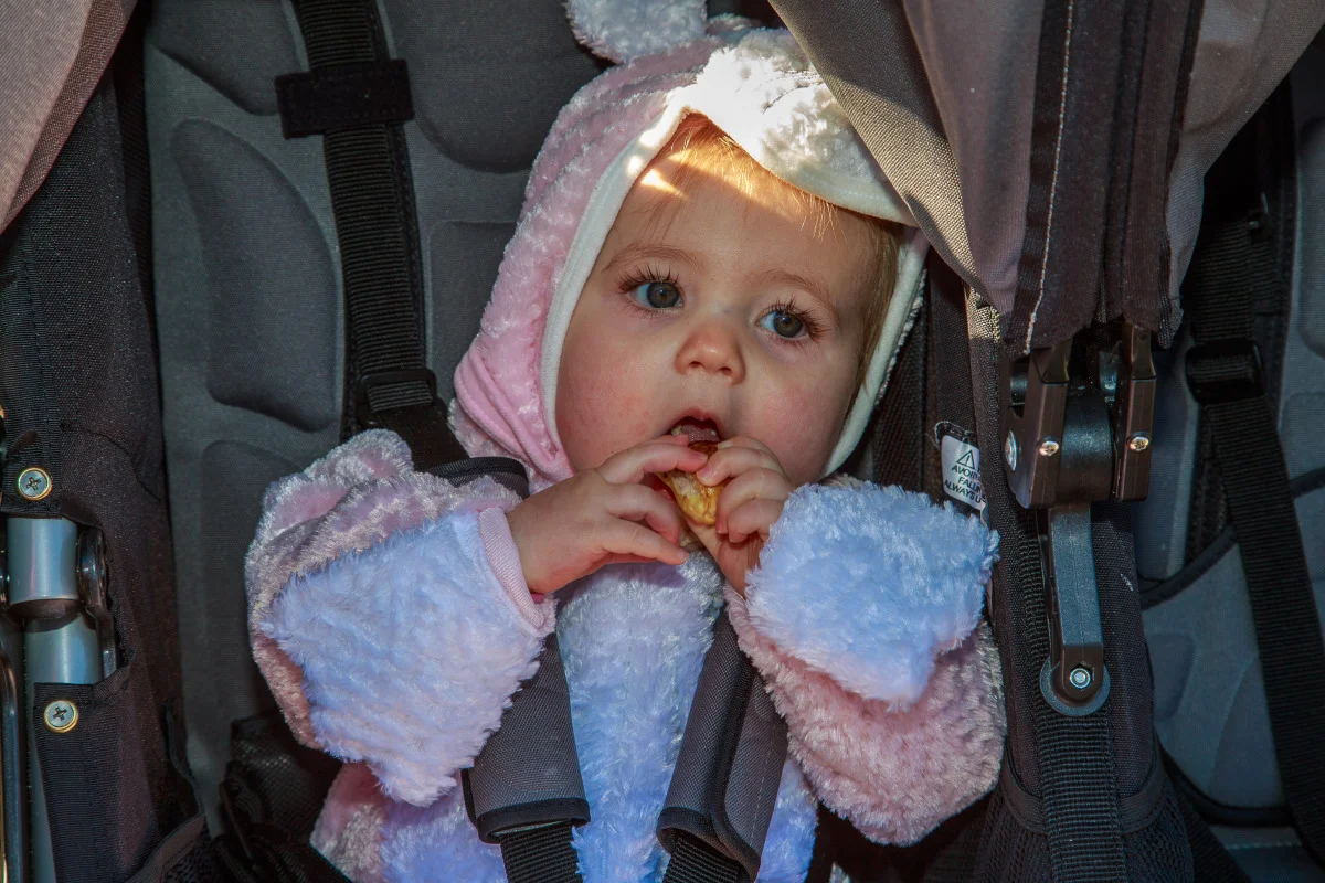 exports - october 2013 boo at the zoo_l7a4249.jpg