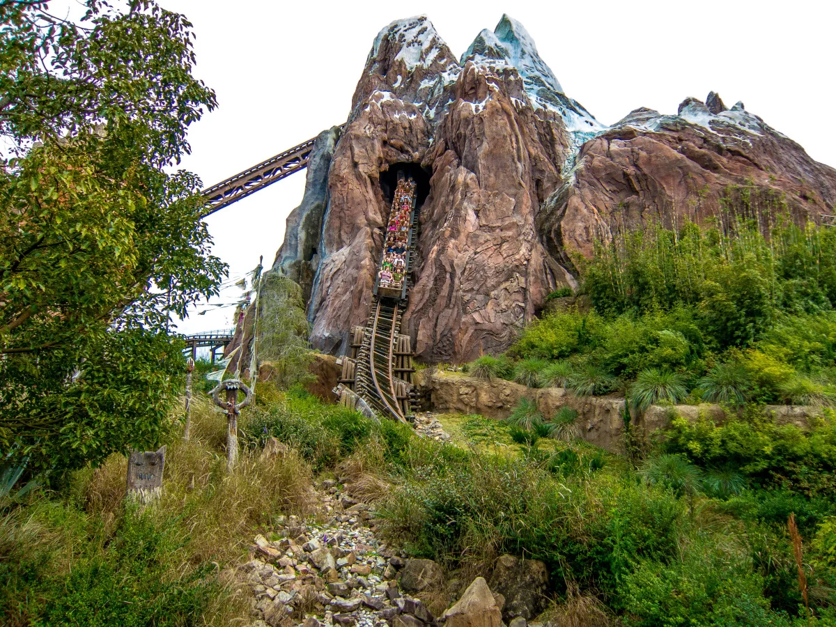 exports - 2014 feb wdw parks and hotels-9.jpg