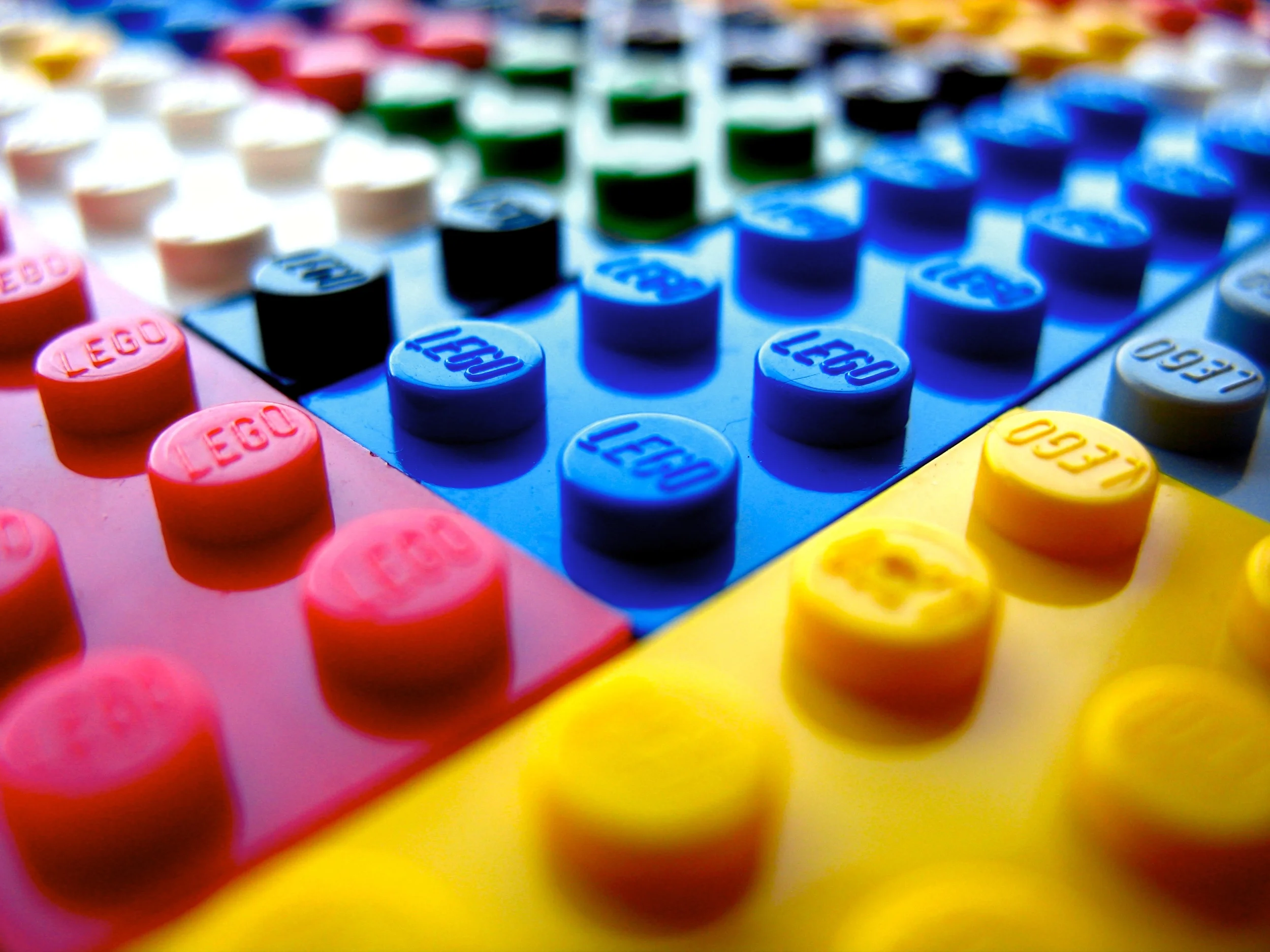 817443503_2bf6927854_o.jpg