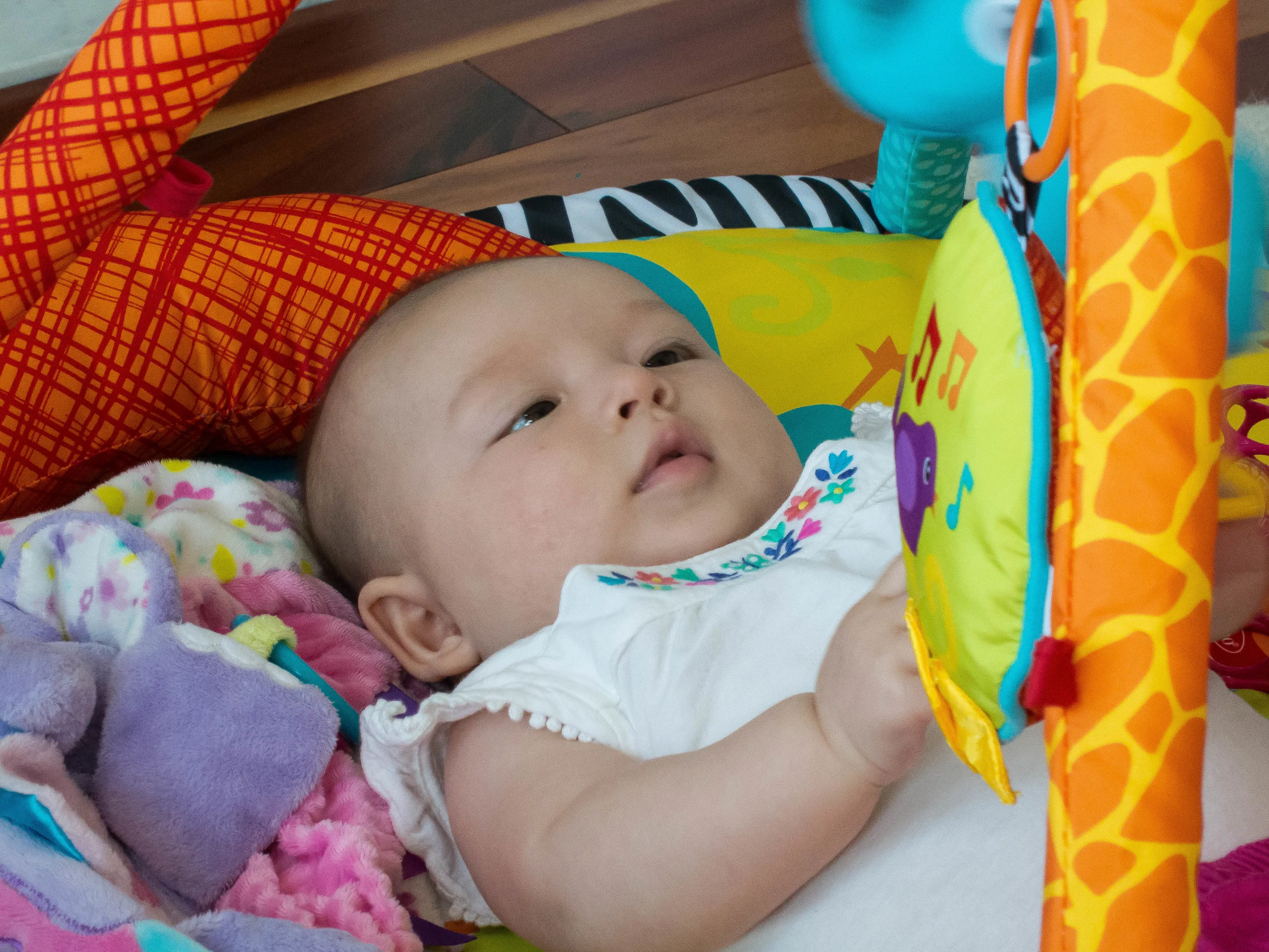 2016-06-21 Ron'sBirthday-Lily-IMG_0801.jpg