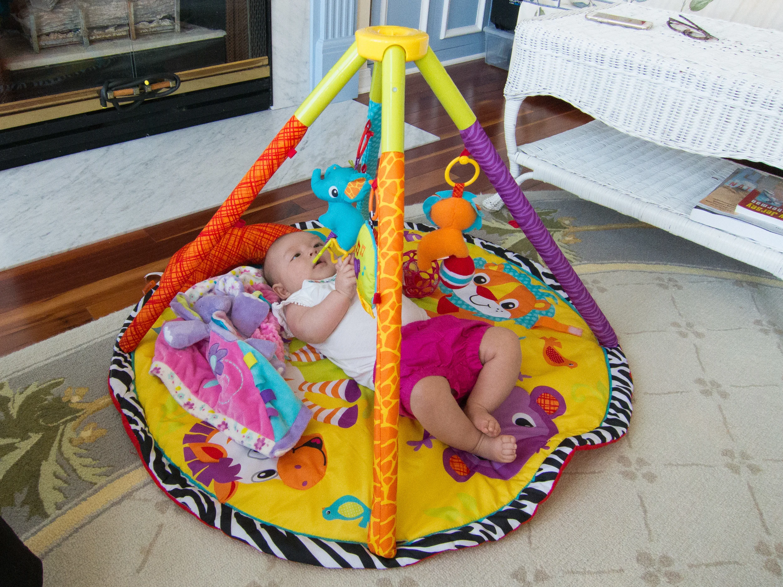 2016-06-21 Ron'sBirthday-Lily-IMG_0800.jpg