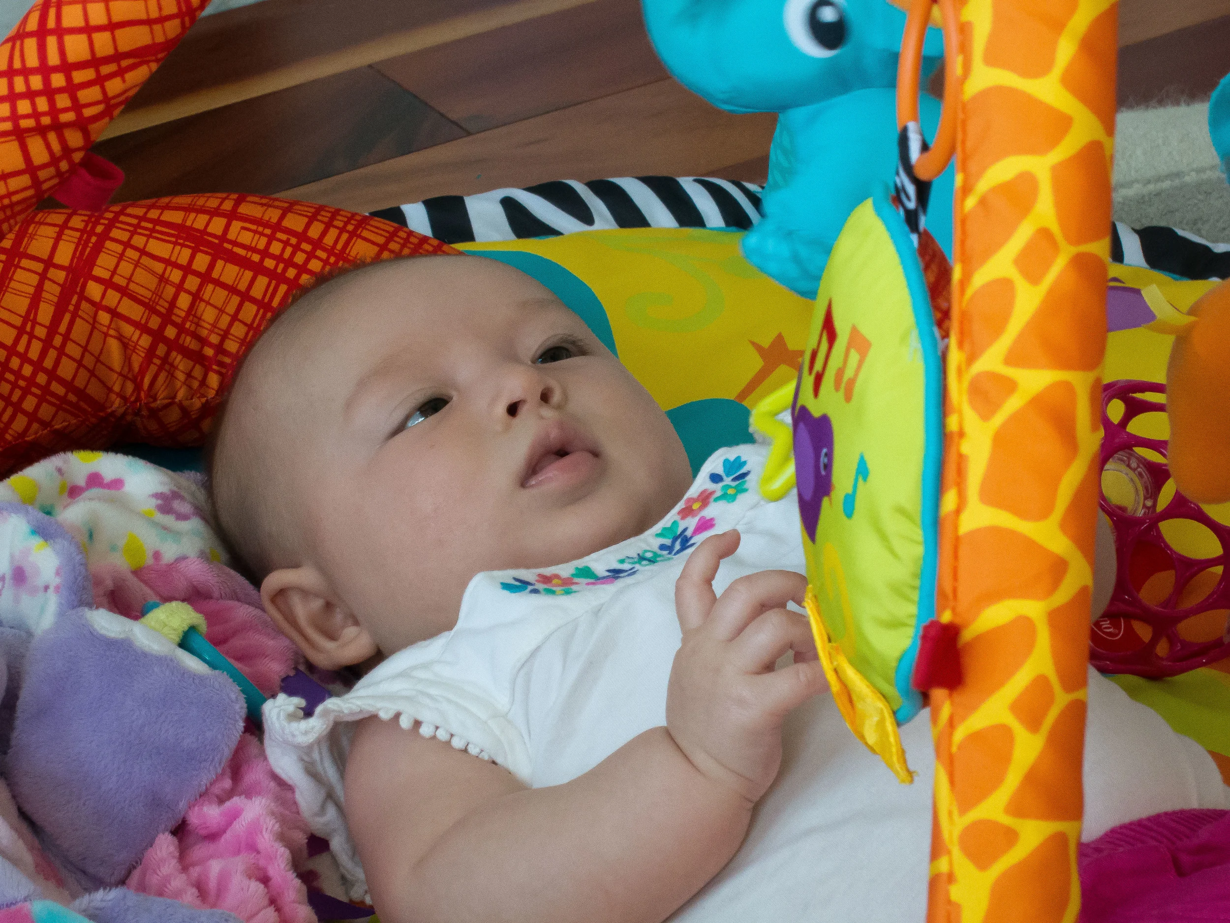 2016-06-21 Ron'sBirthday-Lily-IMG_0802.jpg