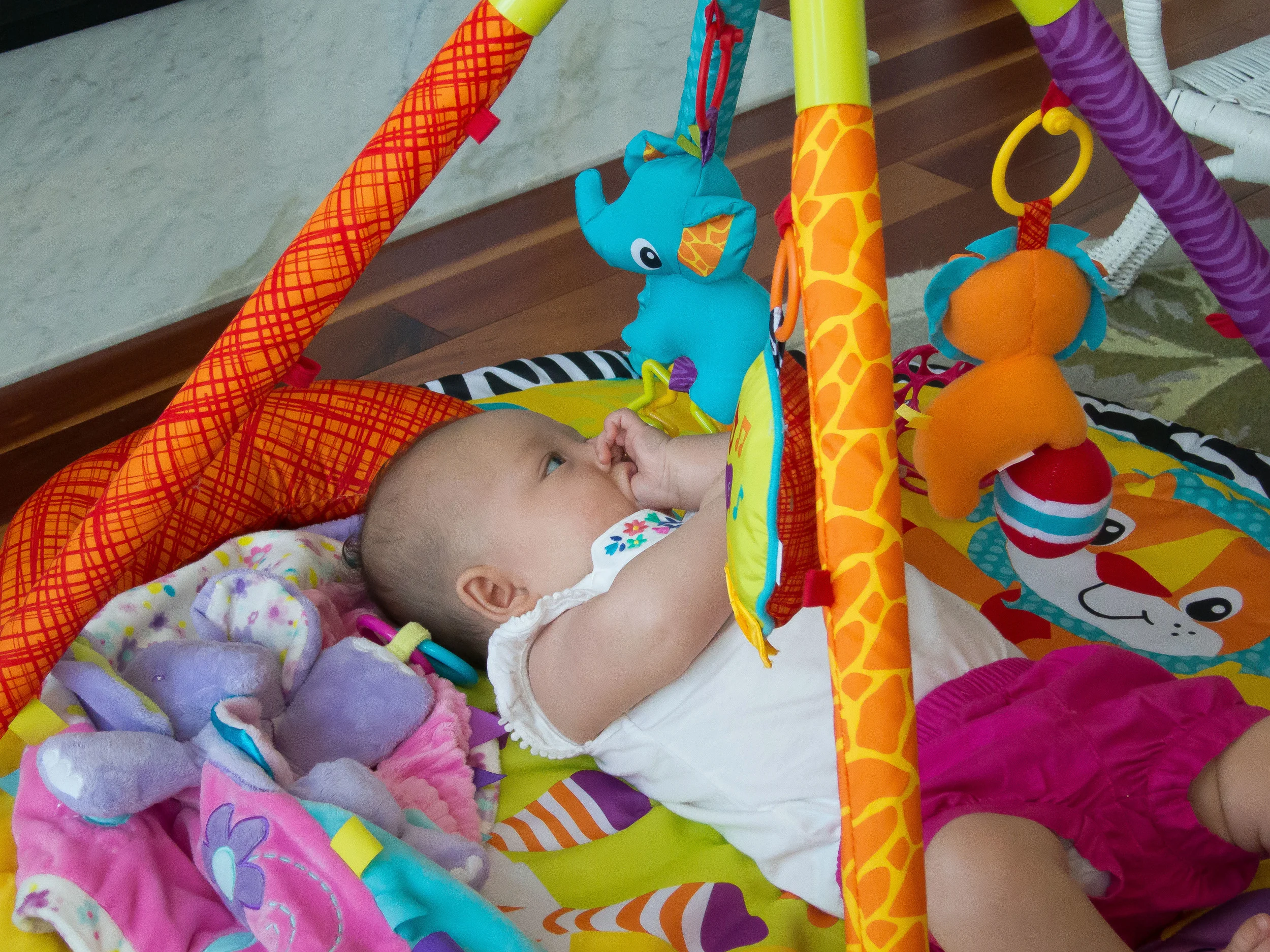 2016-06-21 Ron'sBirthday-Lily-IMG_0804.jpg