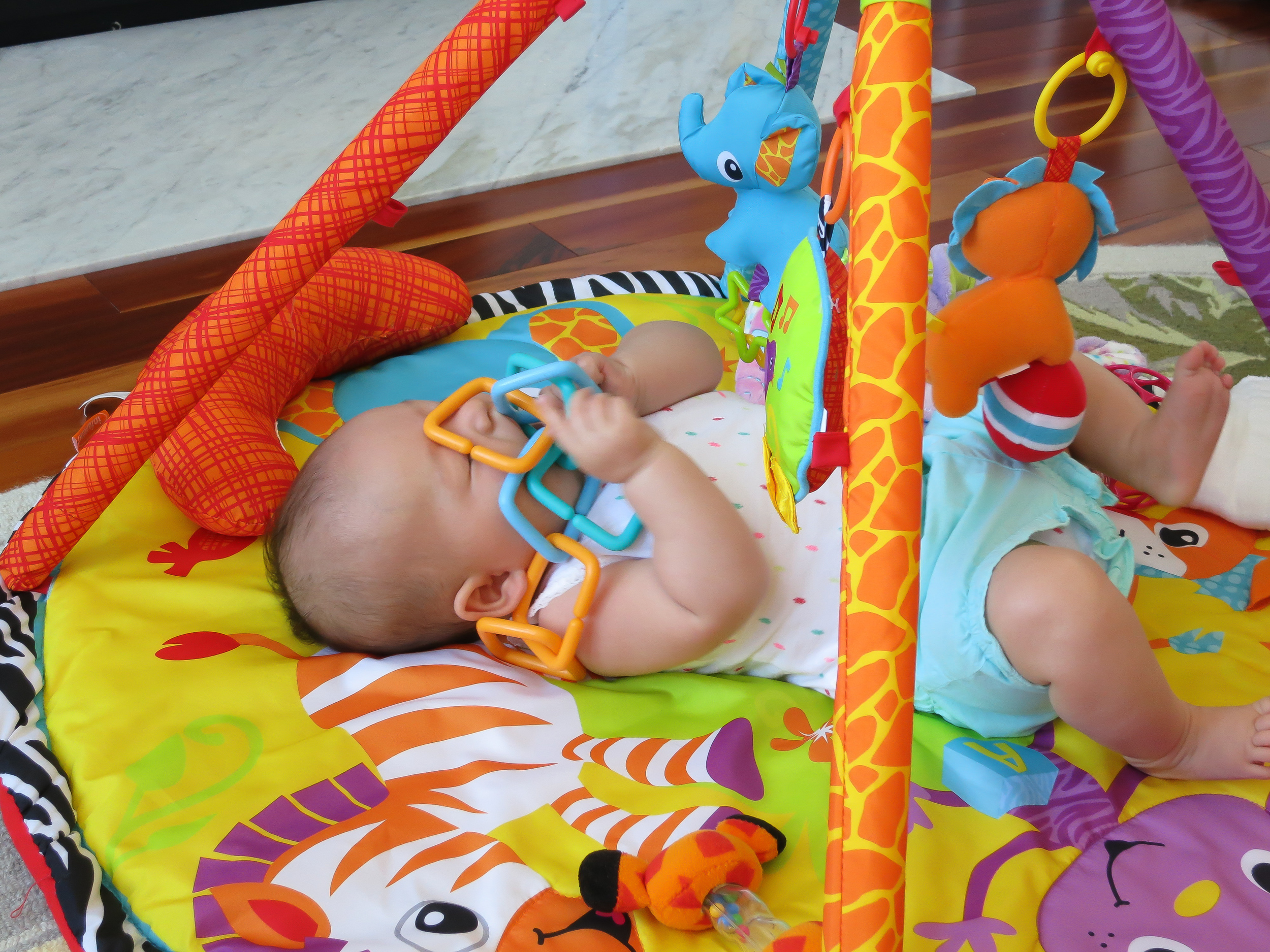 2016-06-21 Ron'sBirthday-Lily-IMG_0810.jpg