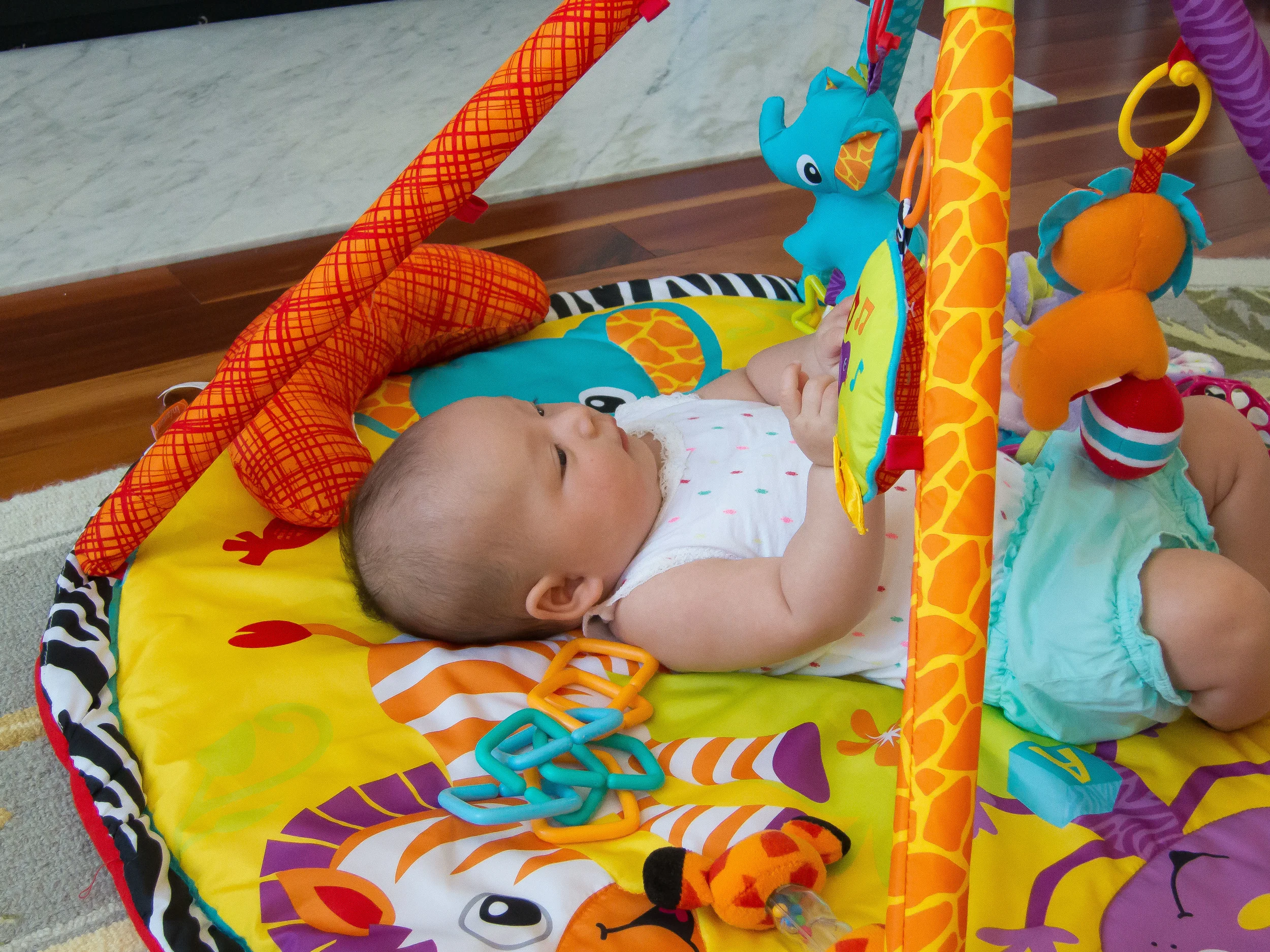 2016-06-21 Ron'sBirthday-Lily-IMG_0811.jpg