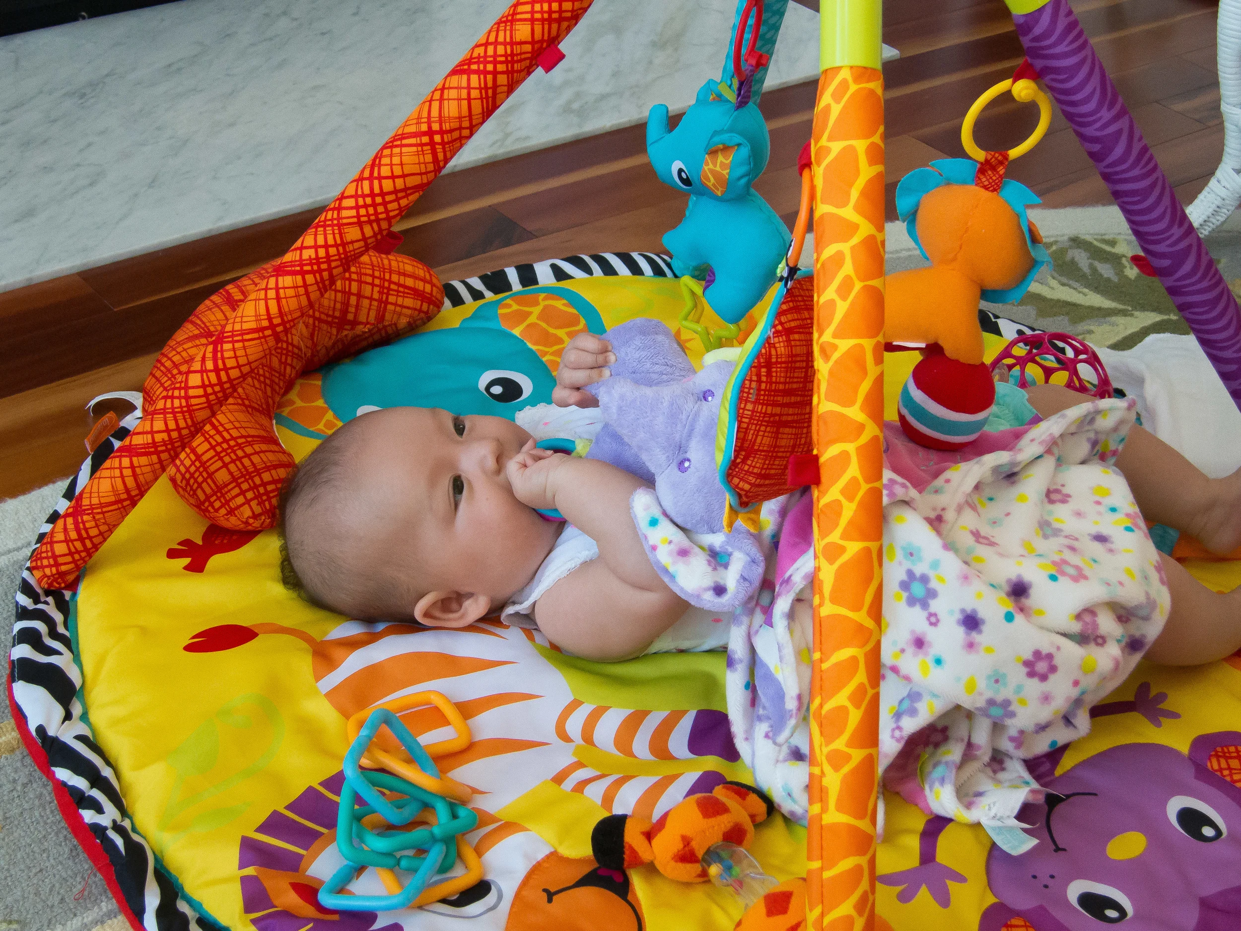 2016-06-21 Ron'sBirthday-Lily-IMG_0814.jpg