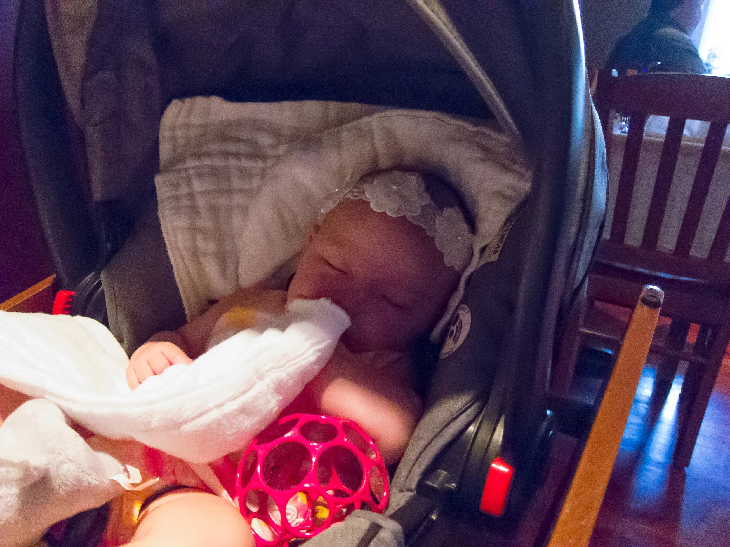 2016-06-21 Ron'sBirthday-Lily-IMG_0839.jpg