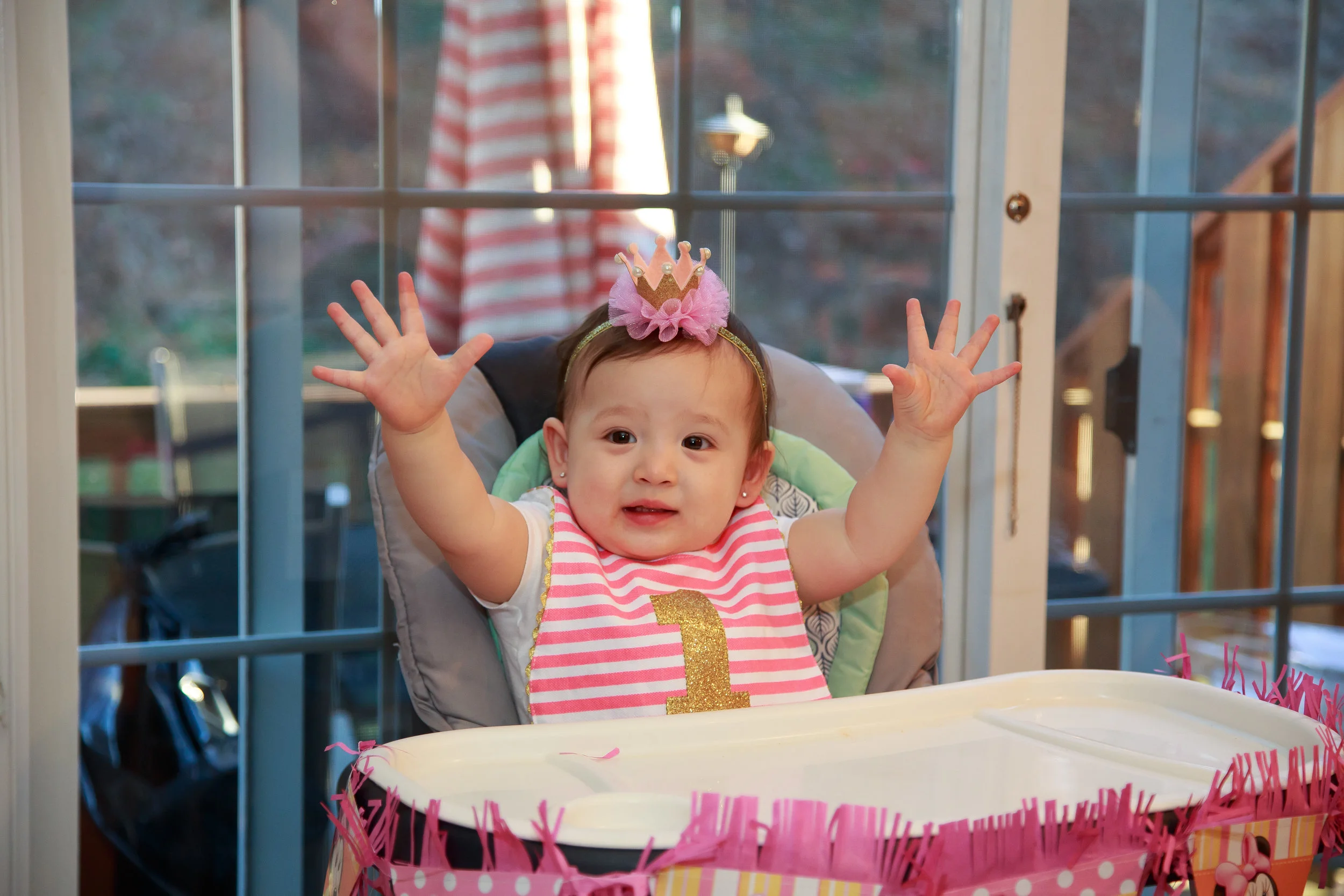 EXPORT - 2017-03.04 Lily's 1st Birthday Party-2017-03.04 Lily's 1st Birthday Party 3L7A7779.jpg