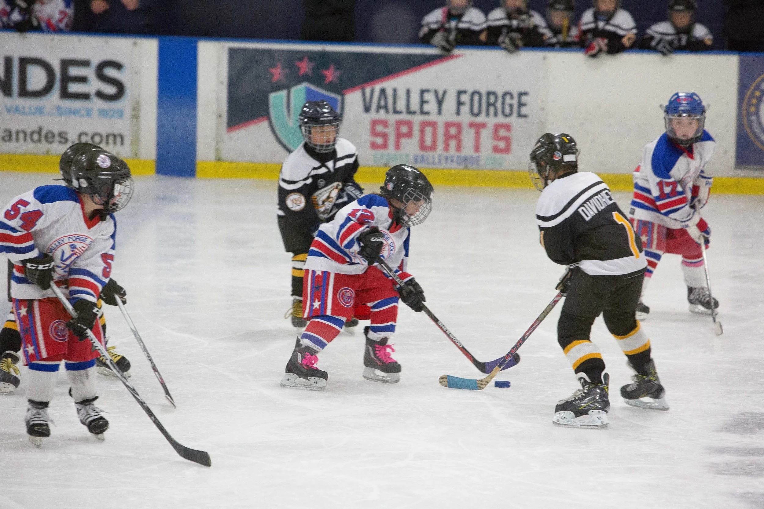 2017-11.19 Henry Ice Hockey-3L7A9547.jpg