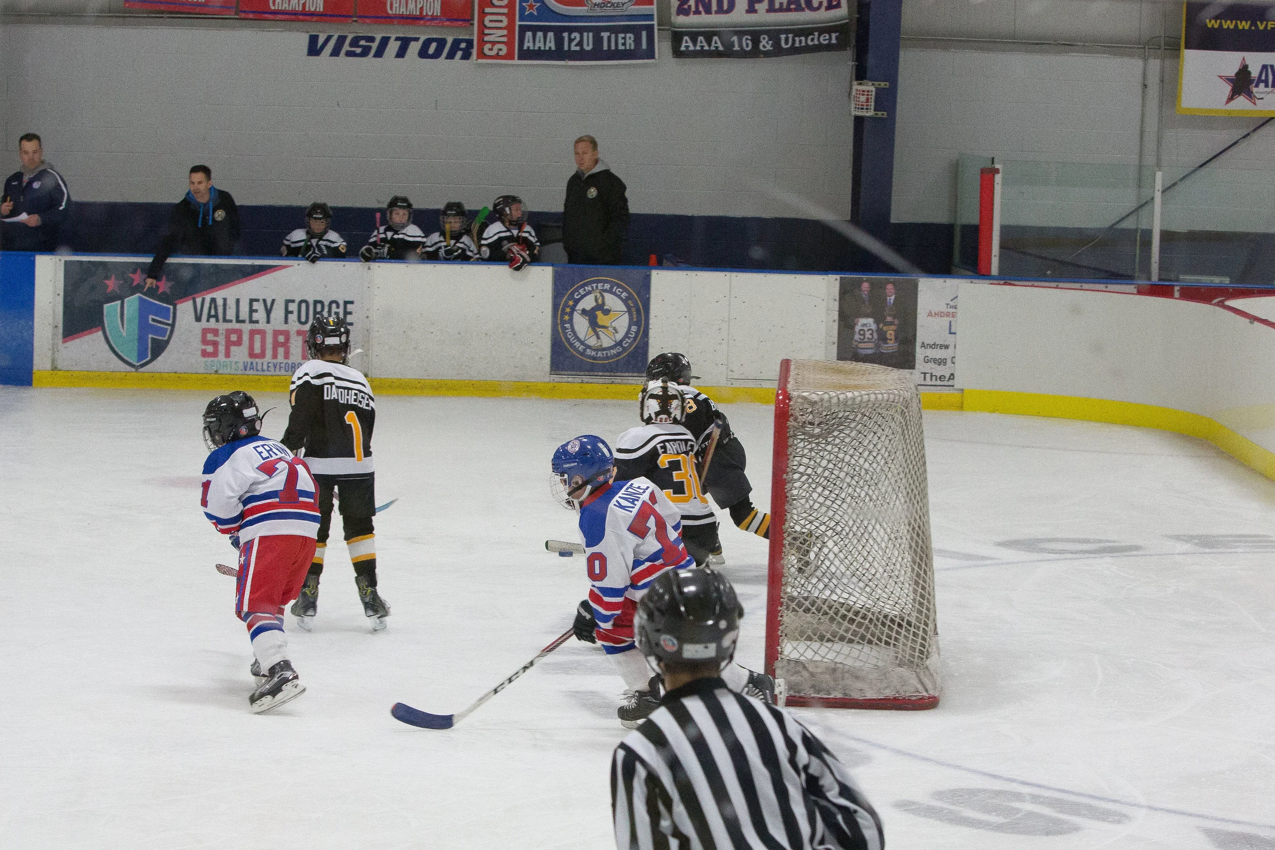 2017-11.19 Henry Ice Hockey-3L7A9563.jpg