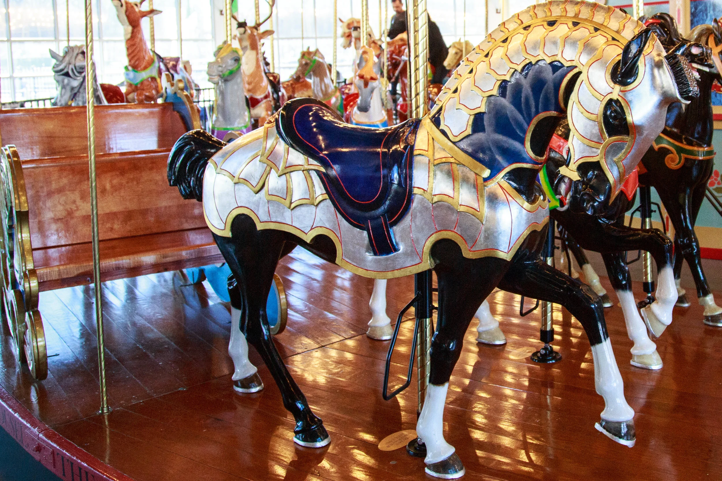 EXPORT - 2018-03.04 Carousel-3L7A1132.jpg