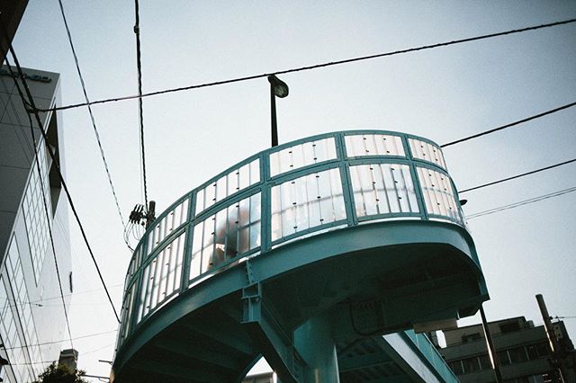 Near Yoyogi park #tokyo #japan #vscocam #stairs