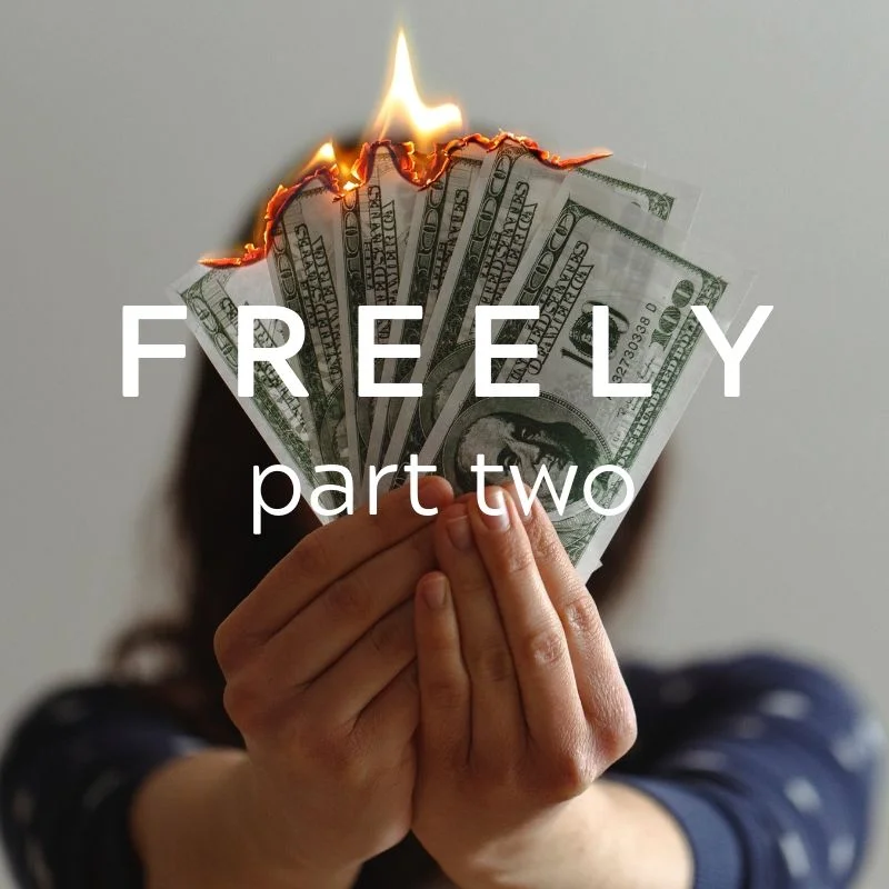 FREELY, Part 2: Accessibility