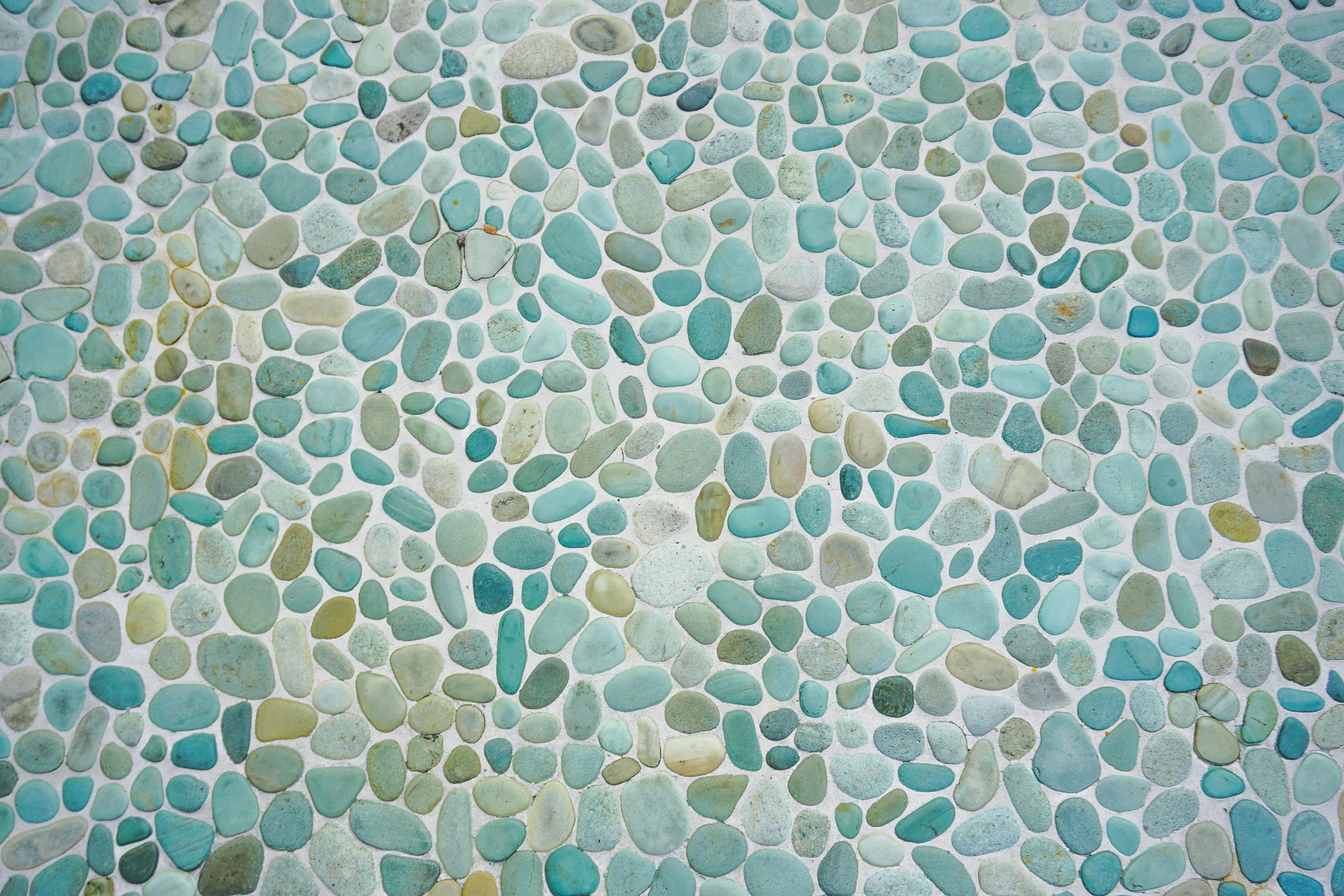 mockaroon-ZobStOuRsN8-unsplash.jpg