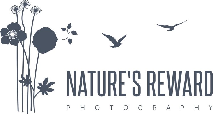 Nature's Reward Photography