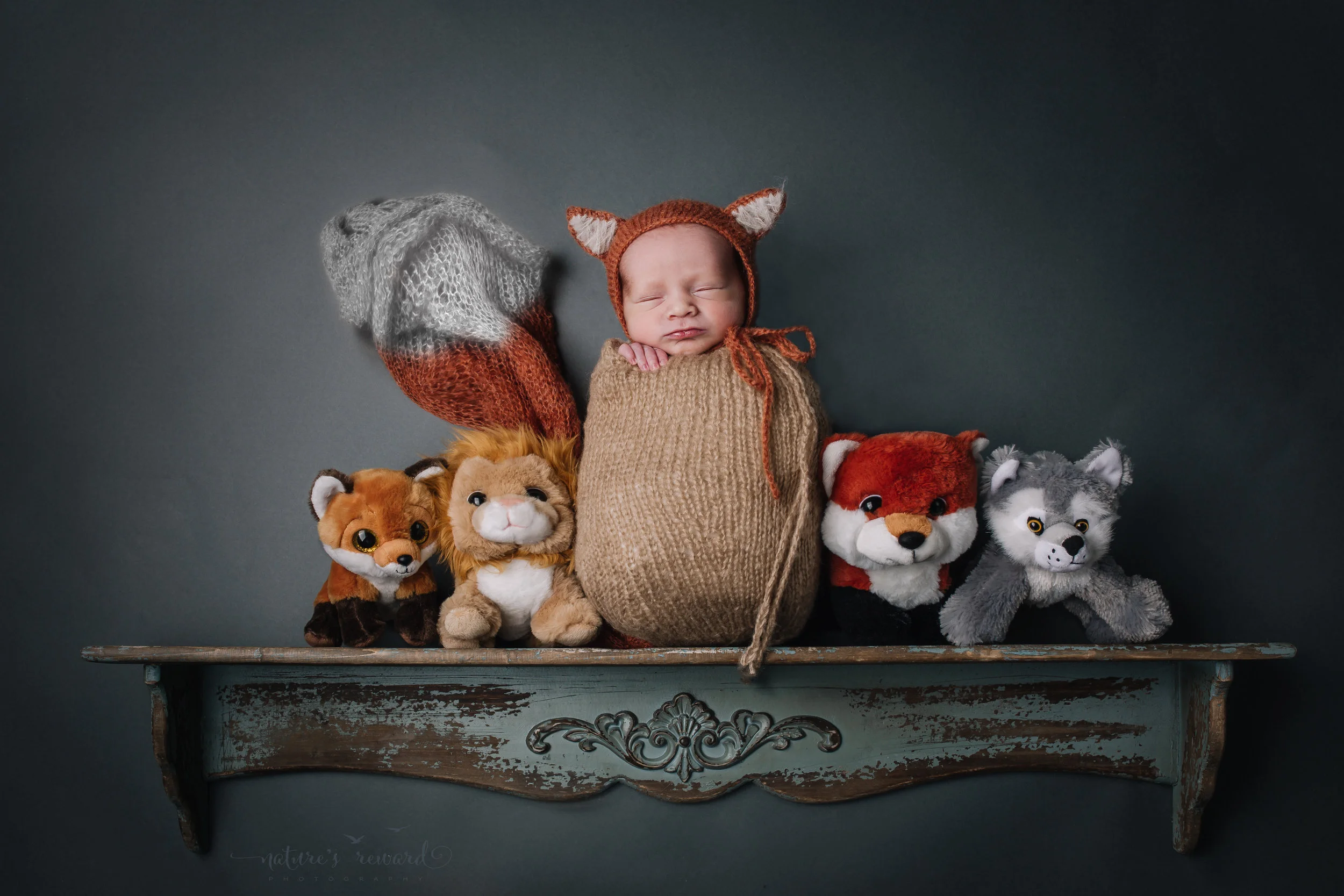 Newborn Baby Boy on a Shelf wearing a fox outfit with his woodland friends