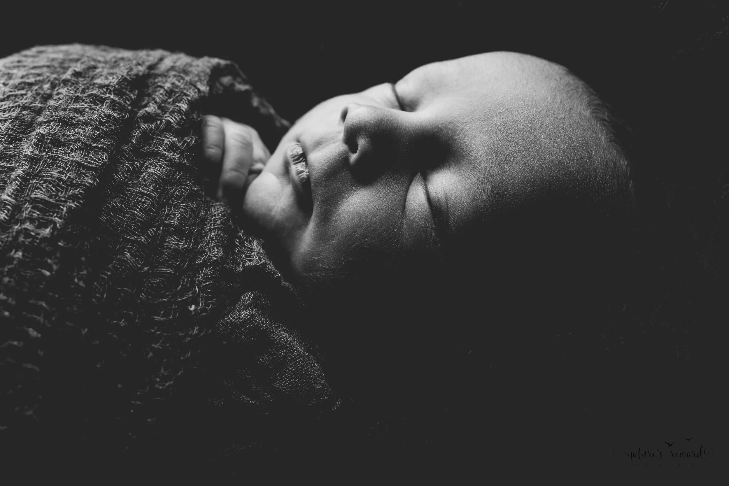 A gorgeous black and white profile feature of this beautiful baby boy. A newborn portrait by Nature's Reward Photography