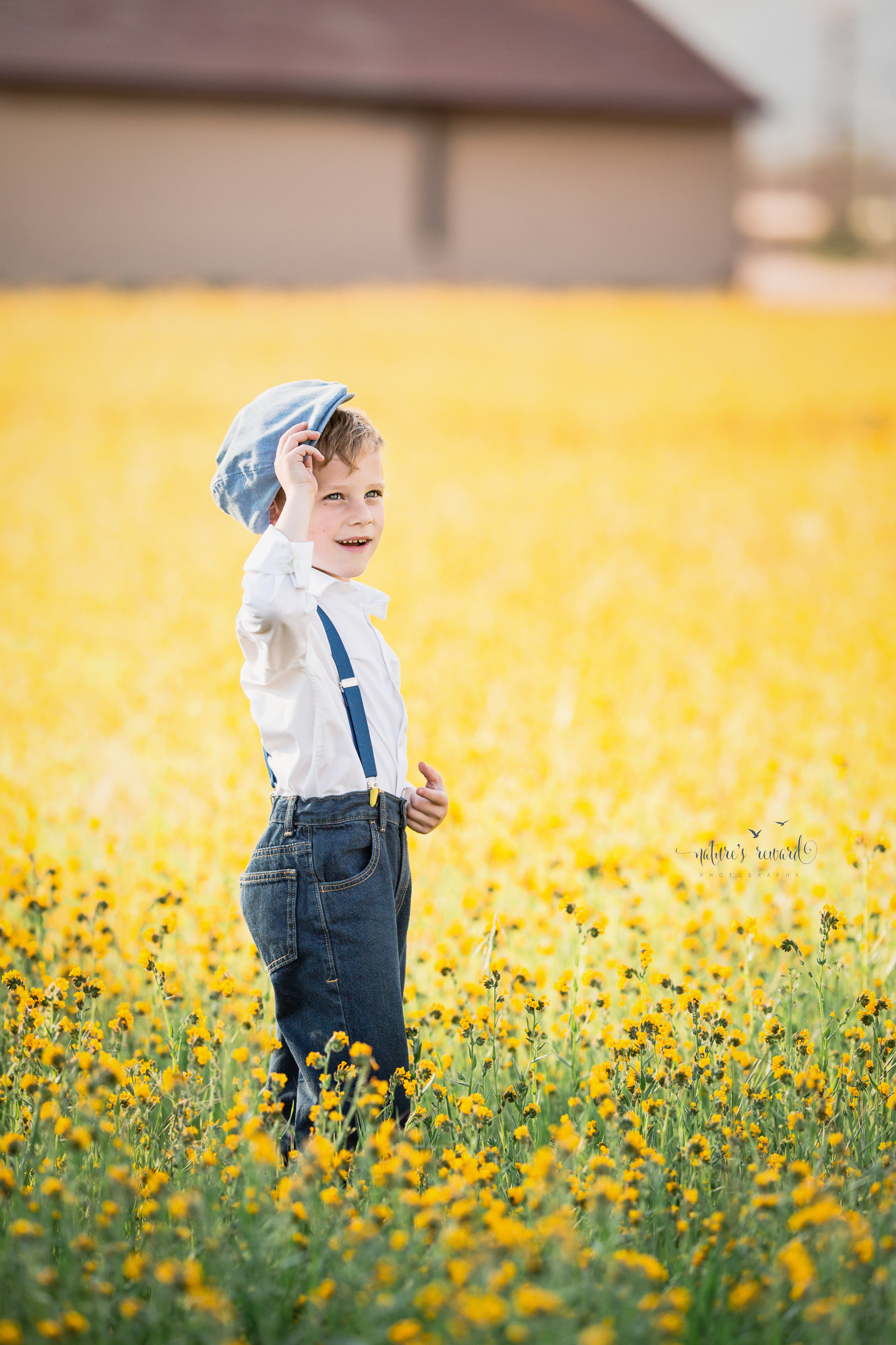 My son- in a field of yellow flowers