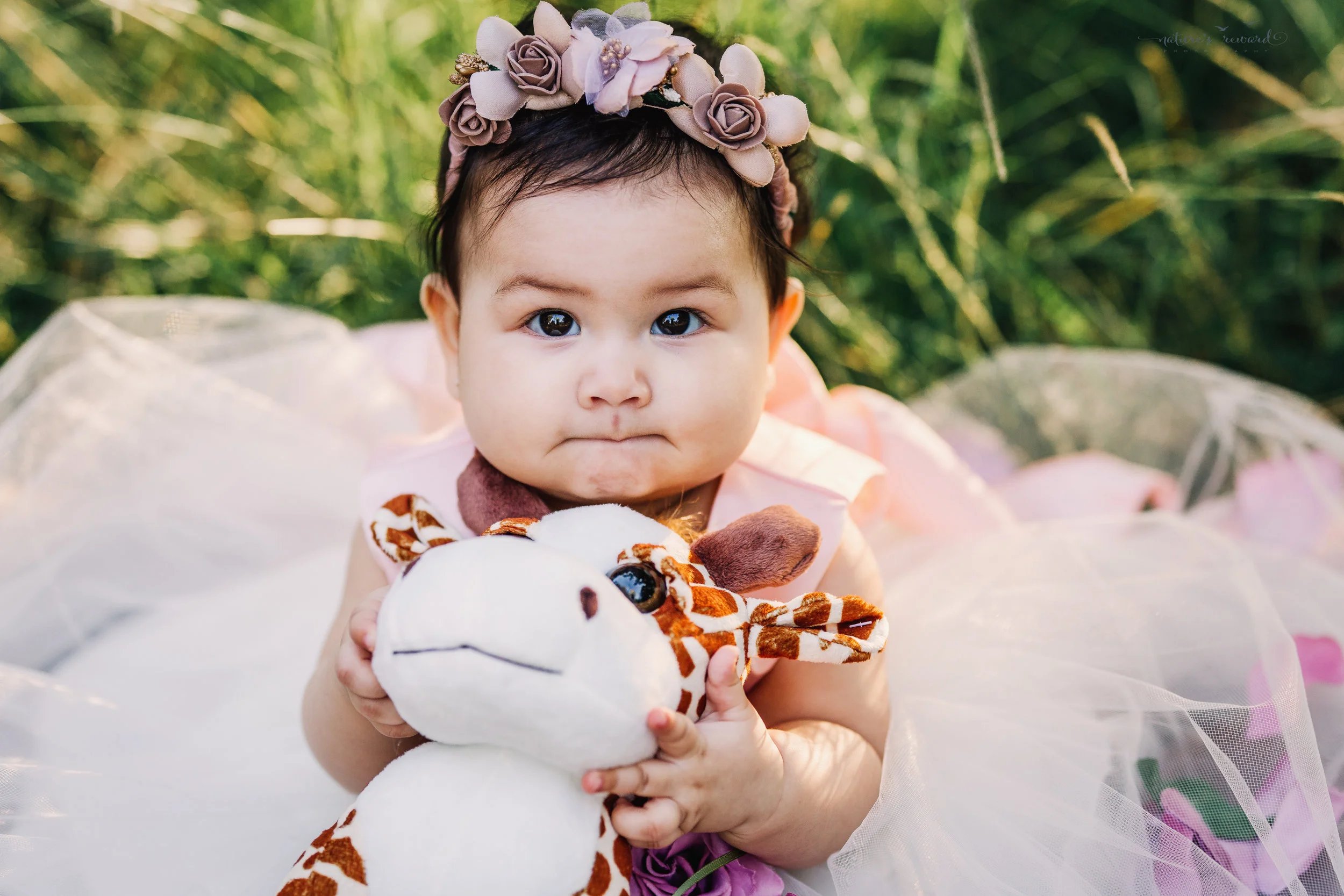 Nature’s Reward Photography - blog