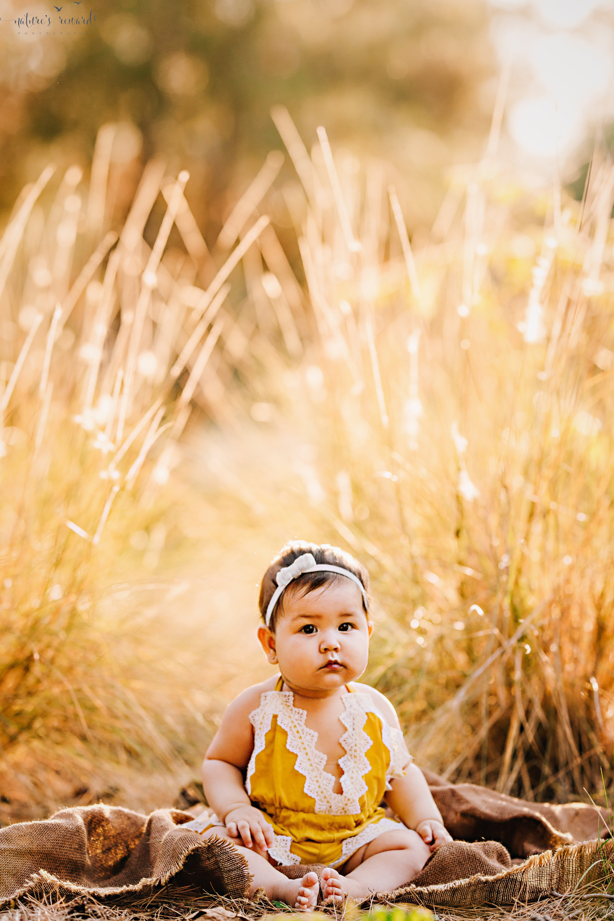Fall Portrait in Golden light. sitter session of gorgeous Gil