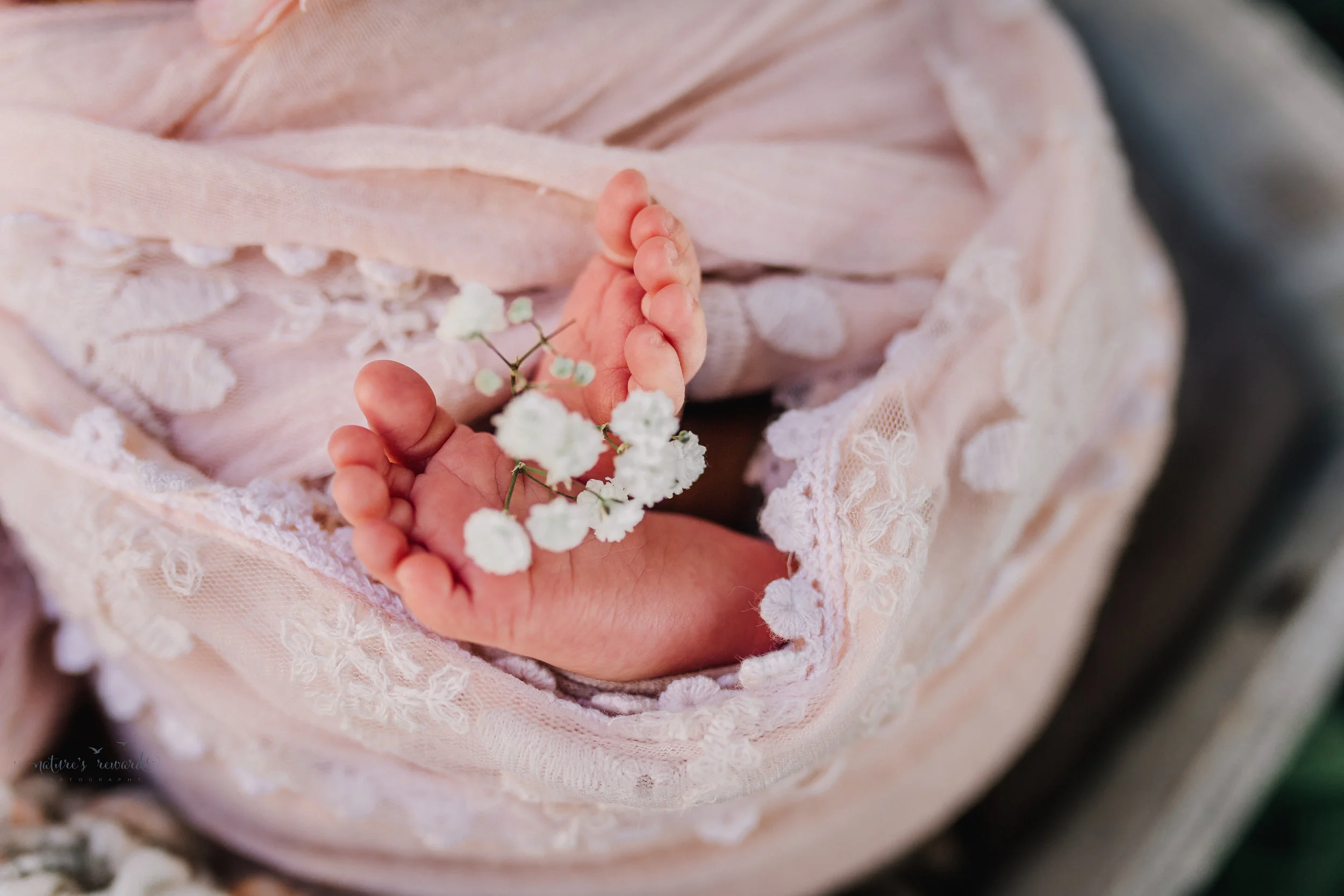 NewbornME33WM.jpg