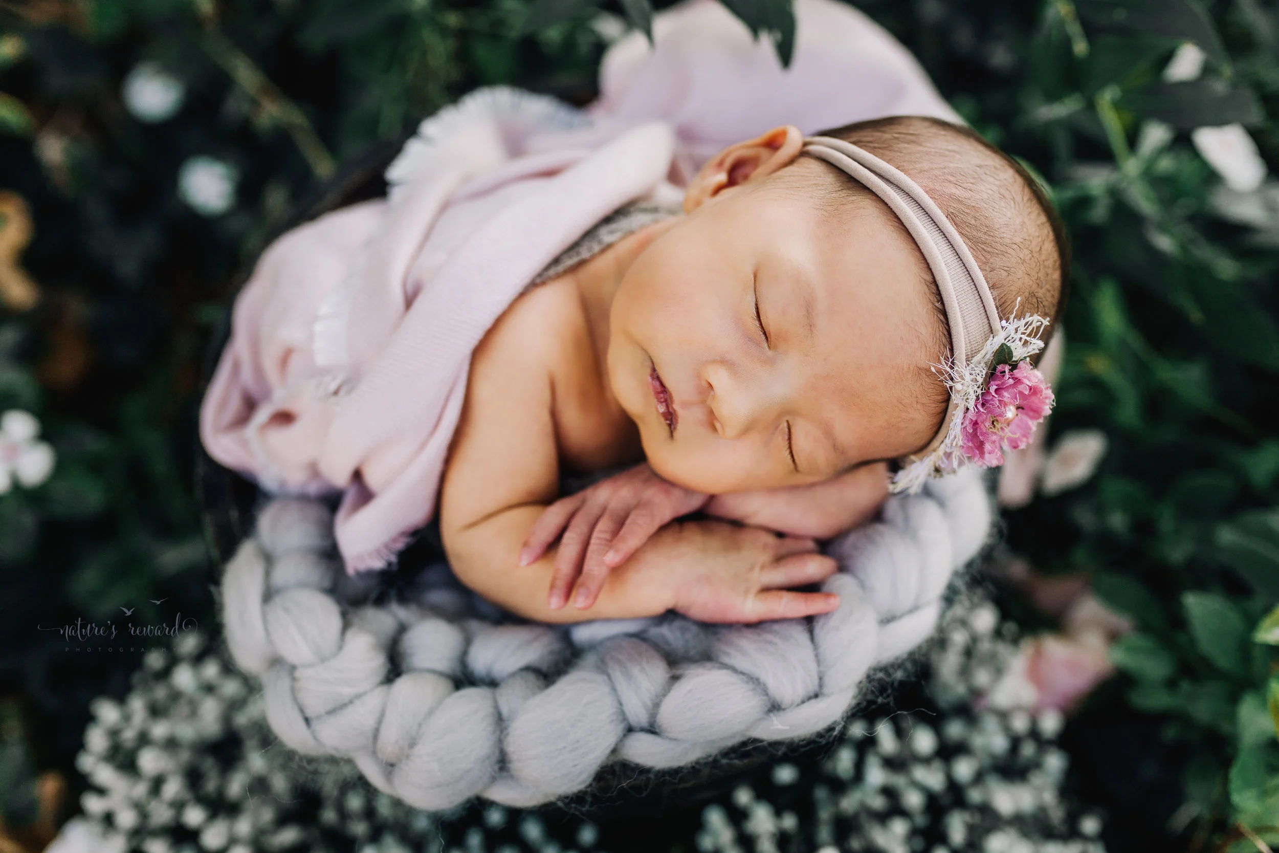 Gorgeous baby Newborn Girl in a bucket with pink and grey basket stuffers in a bucket in a garden surrounded by lush greens and white flowers, purple flowers, and pink carnations and my favorite baby breath in this portrait by Nature’s Reward Photography.
