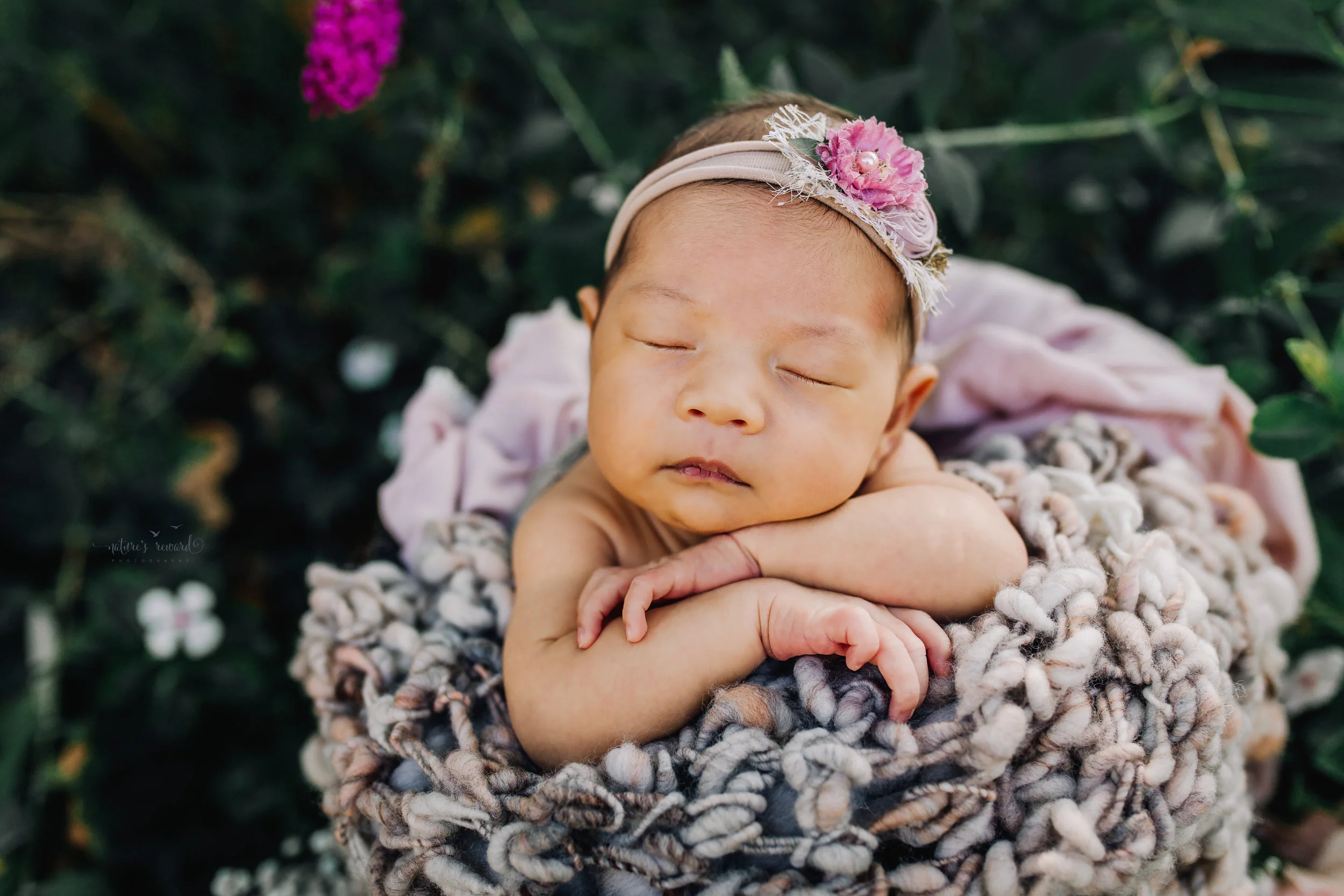 Gorgeous baby Newborn Girl in a bucket with pink and grey basket stuffers in a bucket in a garden surrounded by lush greens and white flowers, purple flowers, and pink carnations and my favorite baby breath in this portrait by Nature’s Reward Photography.