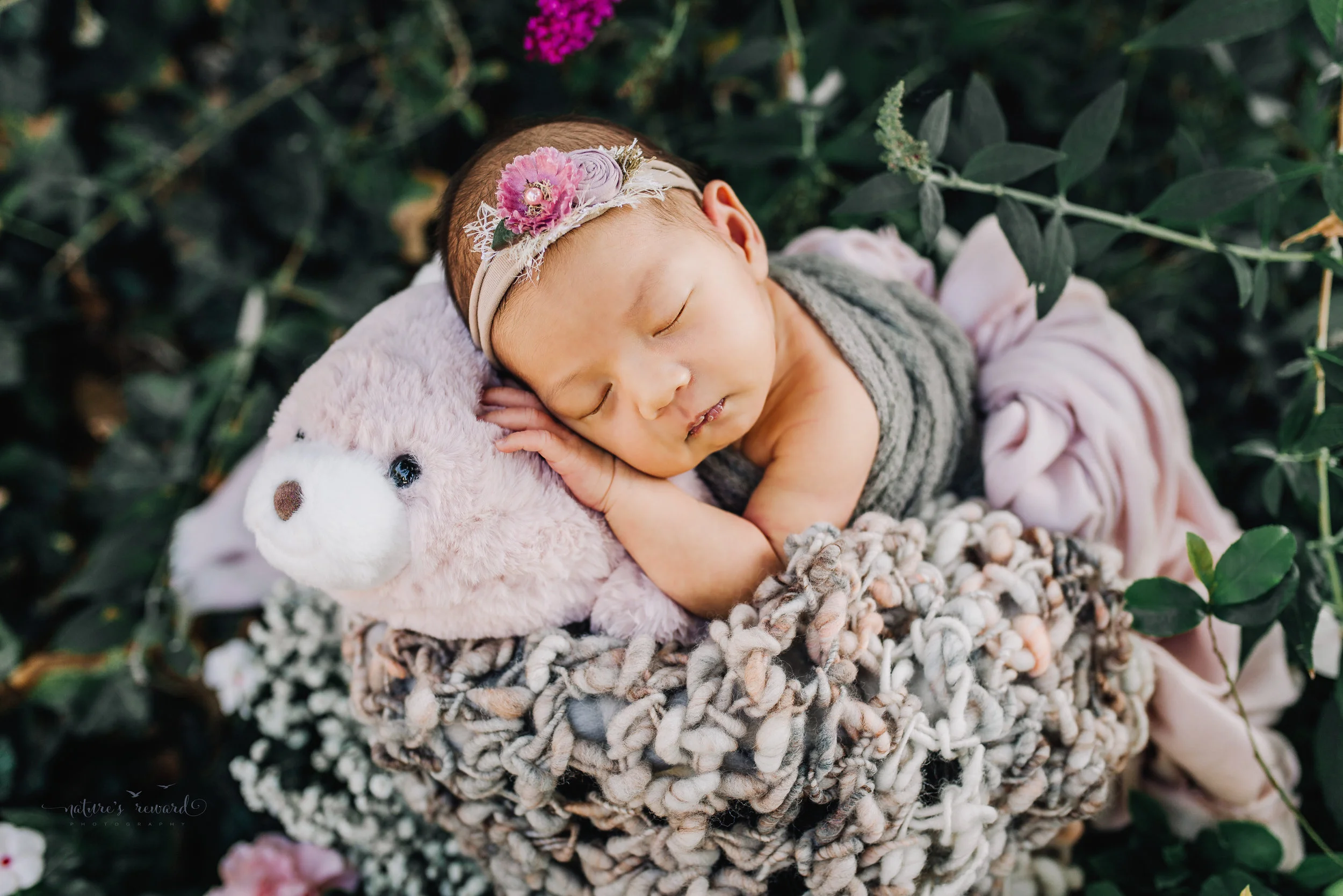 Gorgeous baby Newborn Girl in a bucket with pink and grey basket stuffers in a bucket in a garden surrounded by lush greens with her pink stuffy from home in this portrait by Nature’s Reward Photography.