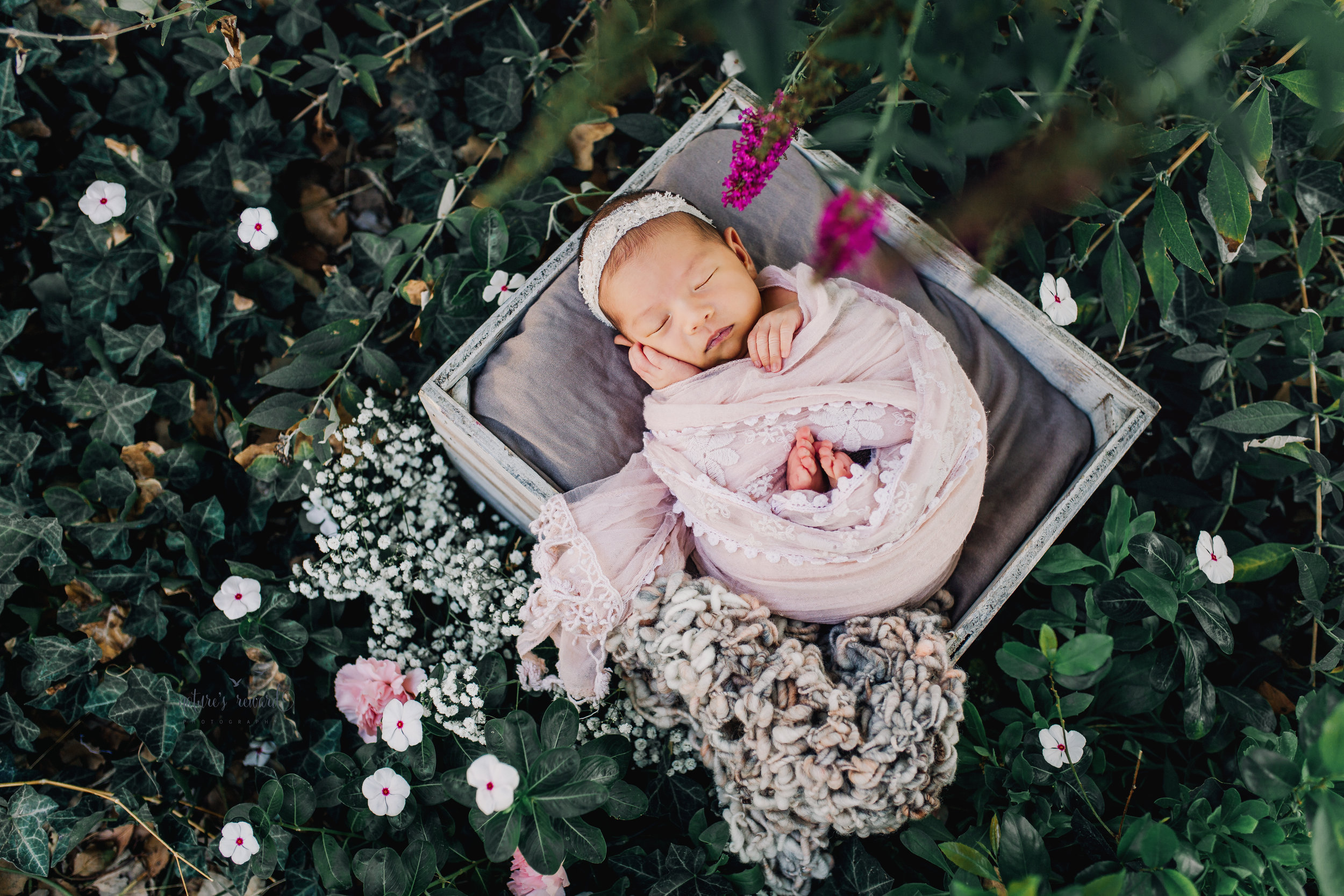 Gorgeous baby newborn girl swaddled in pink wearing a white tie back and in a garden surrounded by lush greens and flowers in this portrait by Nature’s Reward Photography