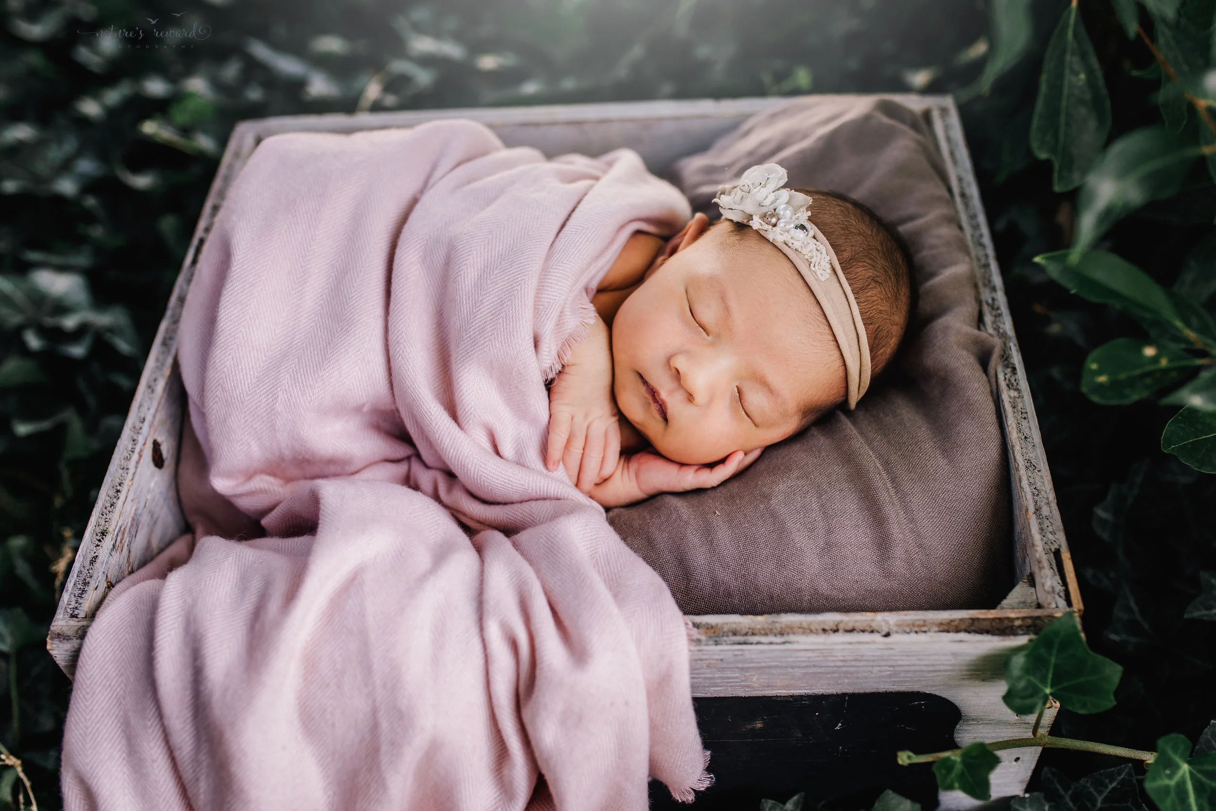 Lovely baby newborn girl with a pink blanket wearing a white tie back and in a garden surrounded by lush greens in this portrait by Nature’s Reward Photography