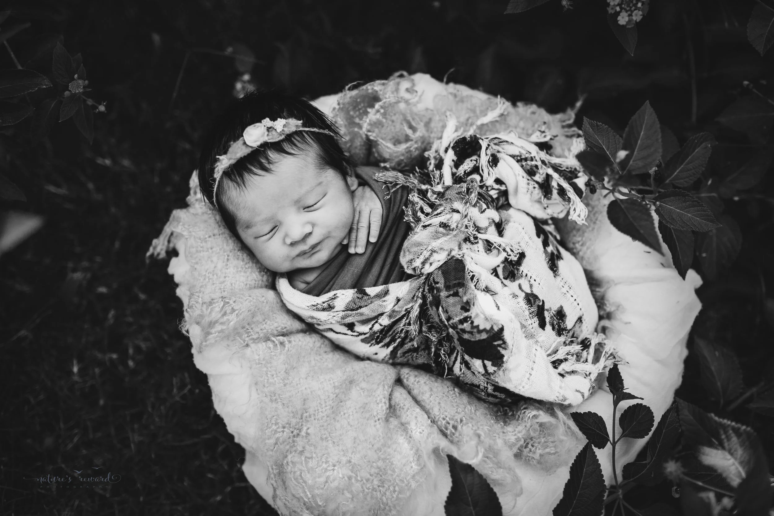 Black and white portrait of newborn baby girl in a garden by Nature’s Reward Photography.