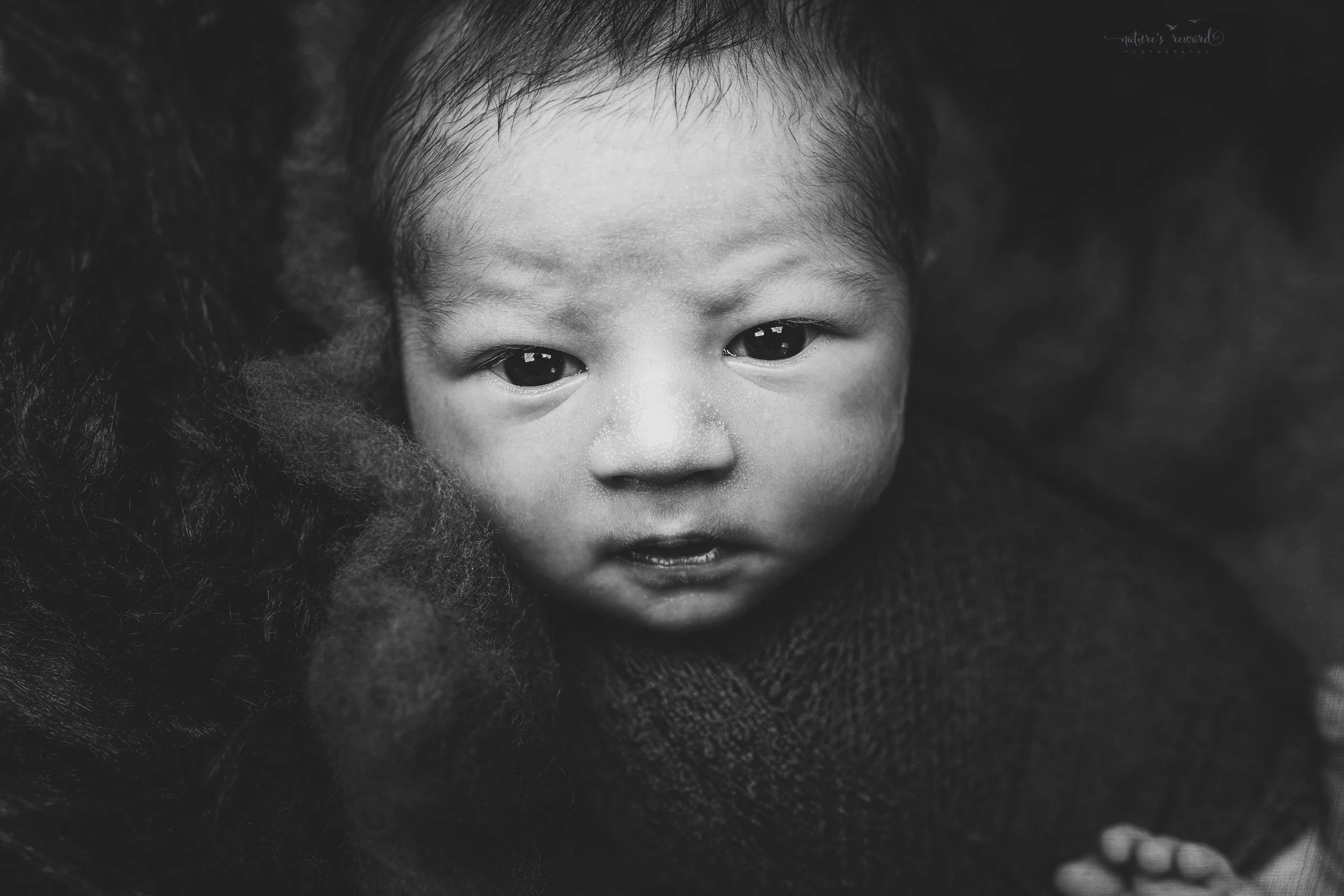 Captivating black and white portrait of a swaddled newborn baby boy by Nature’s Reward Photography