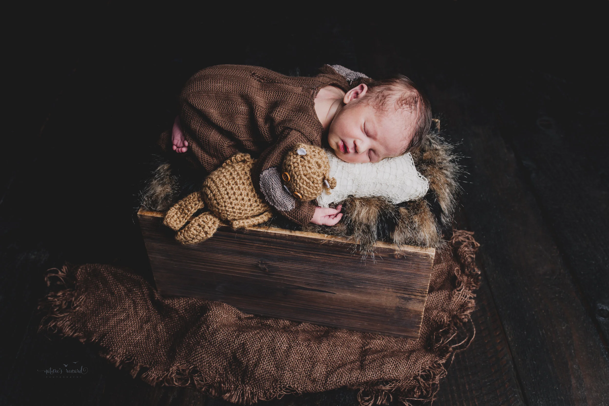 Newborn baby boy portrait wearing a brown outfit and matching cap holding a teddy in a box of fur by Nature’s Reward Photography