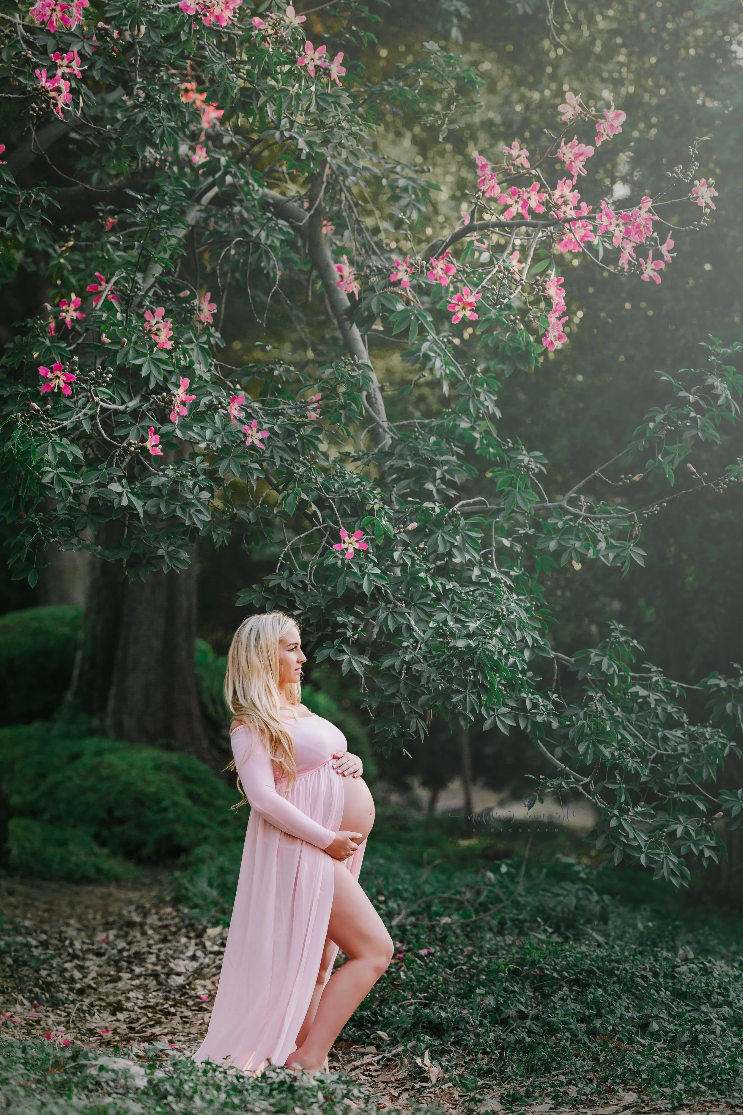 Stunning expecting mother shows her lovely baby bump in a pink open front maternity gown a portrait by Nature’s Reward Photography.