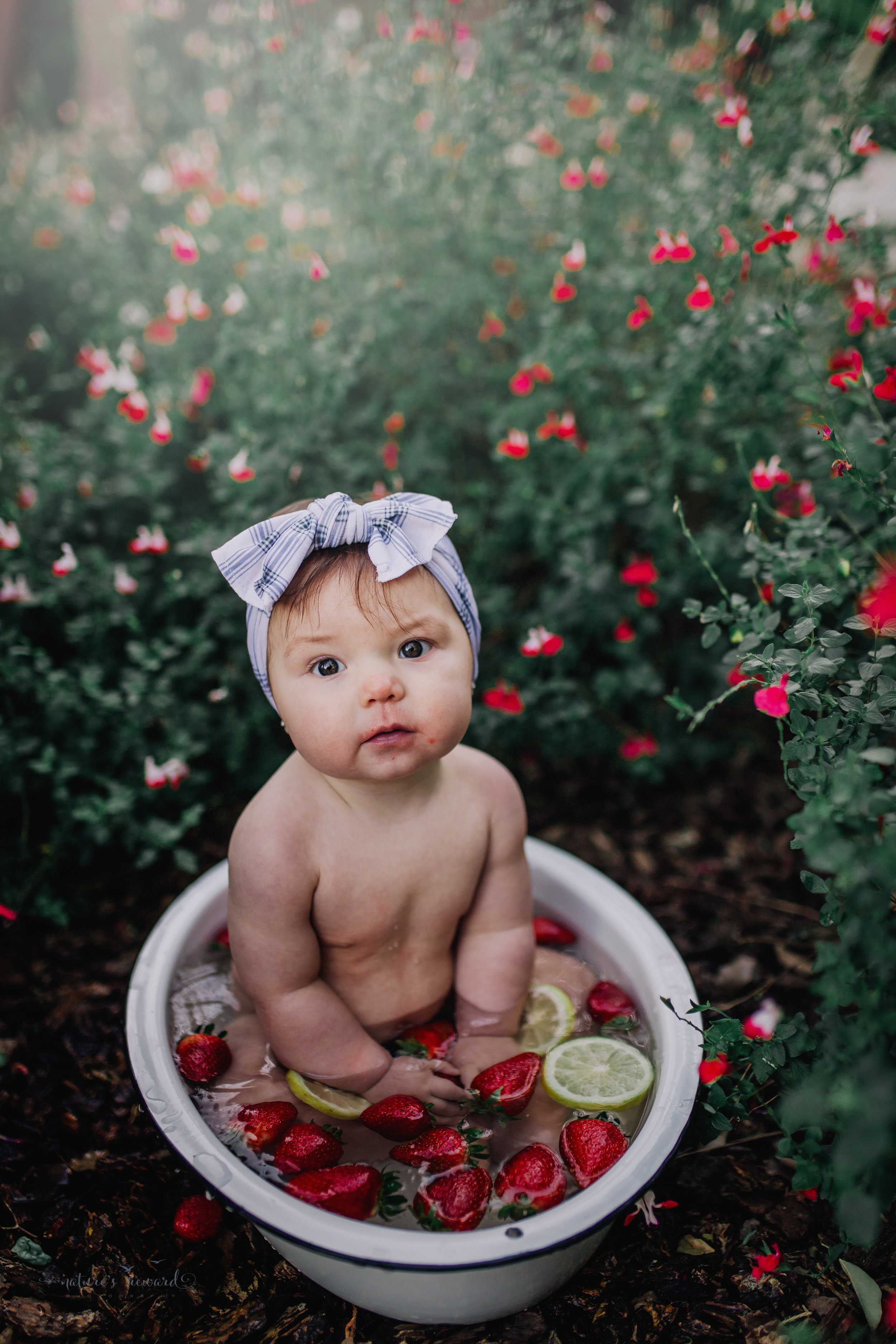 Fruit bath with strawberries and lemons for this 6 month old during her sitter session in a flower garden